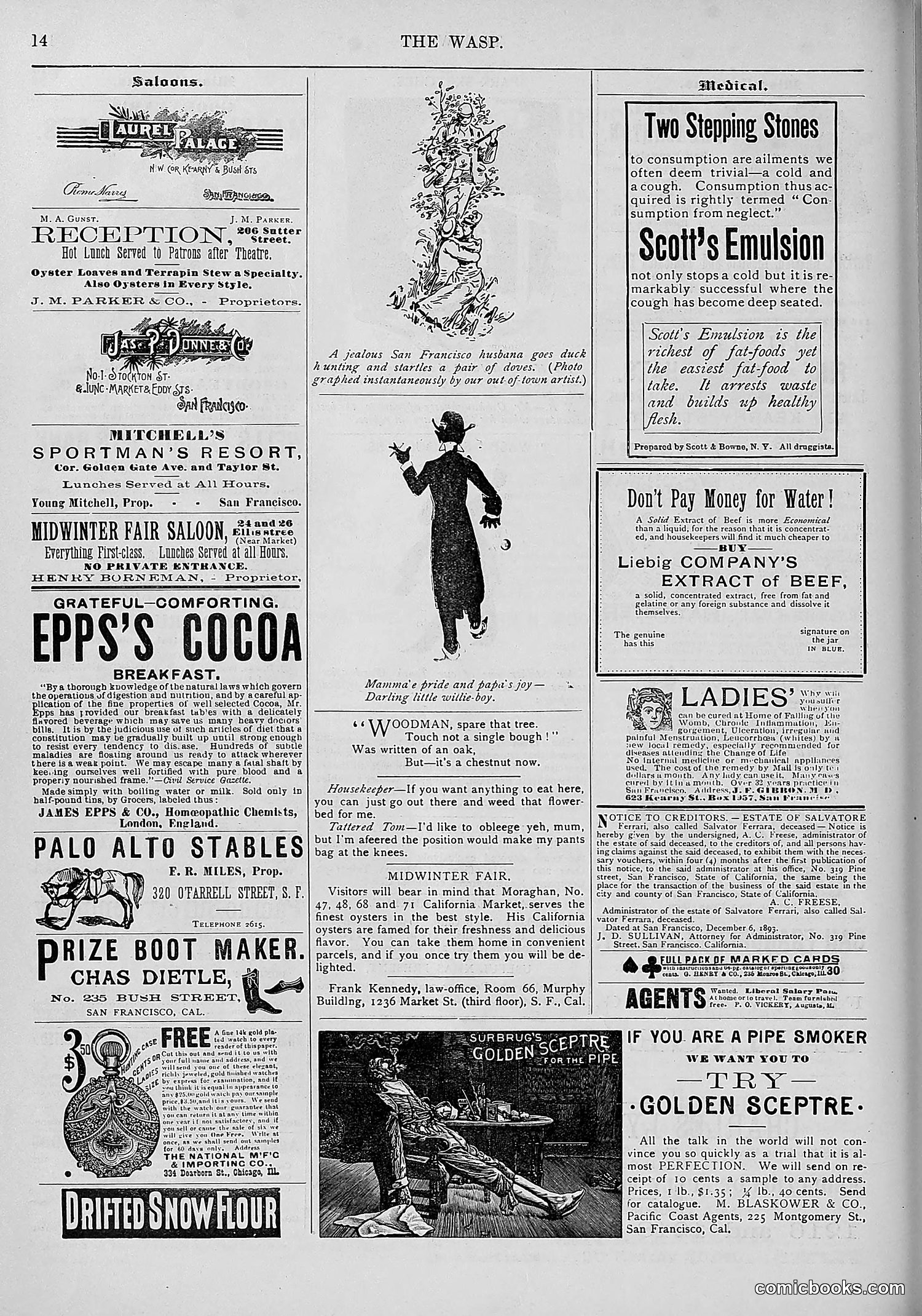The Wasp — 1893 — page 559 of 578