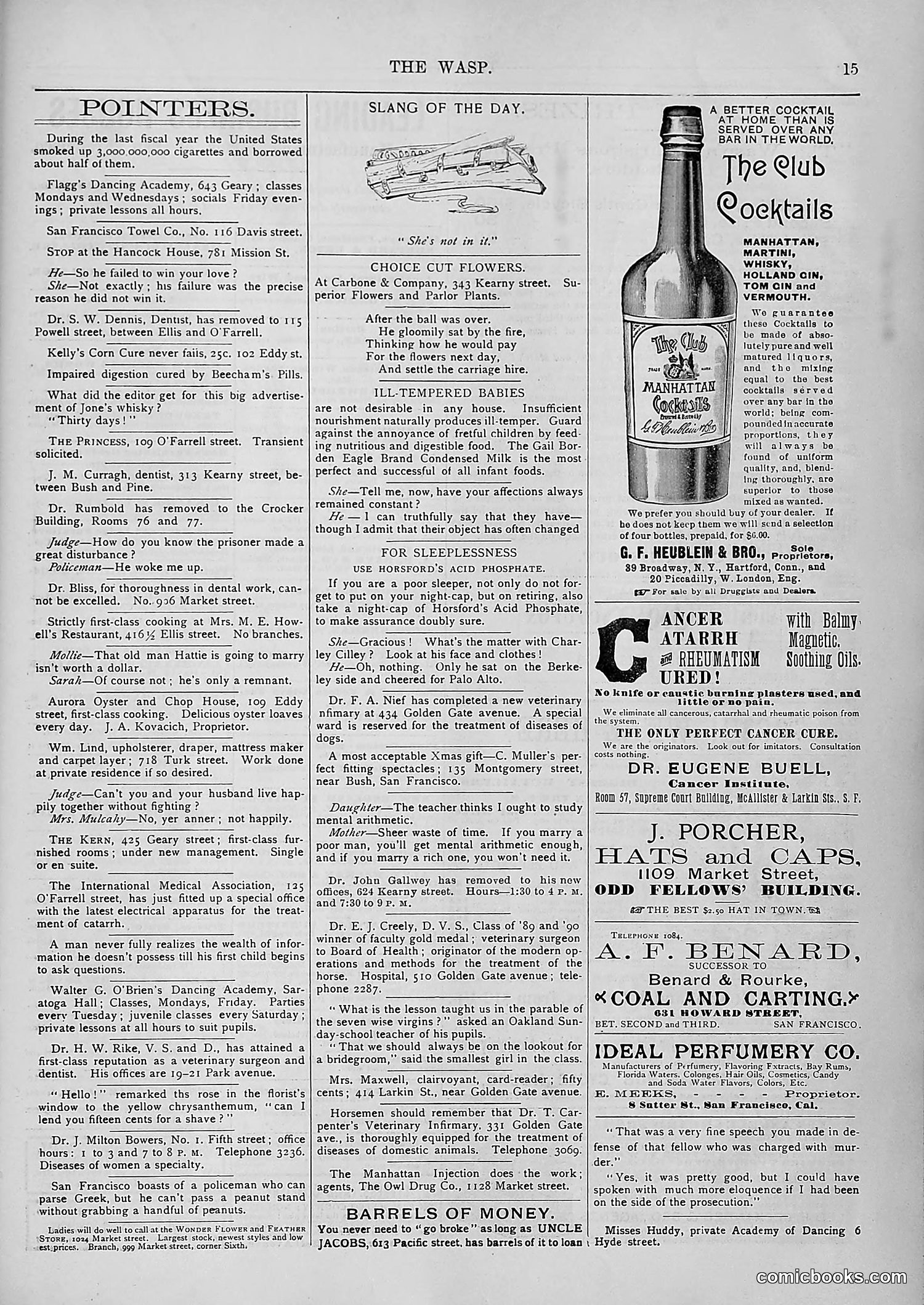 The Wasp — 1893 — page 560 of 578