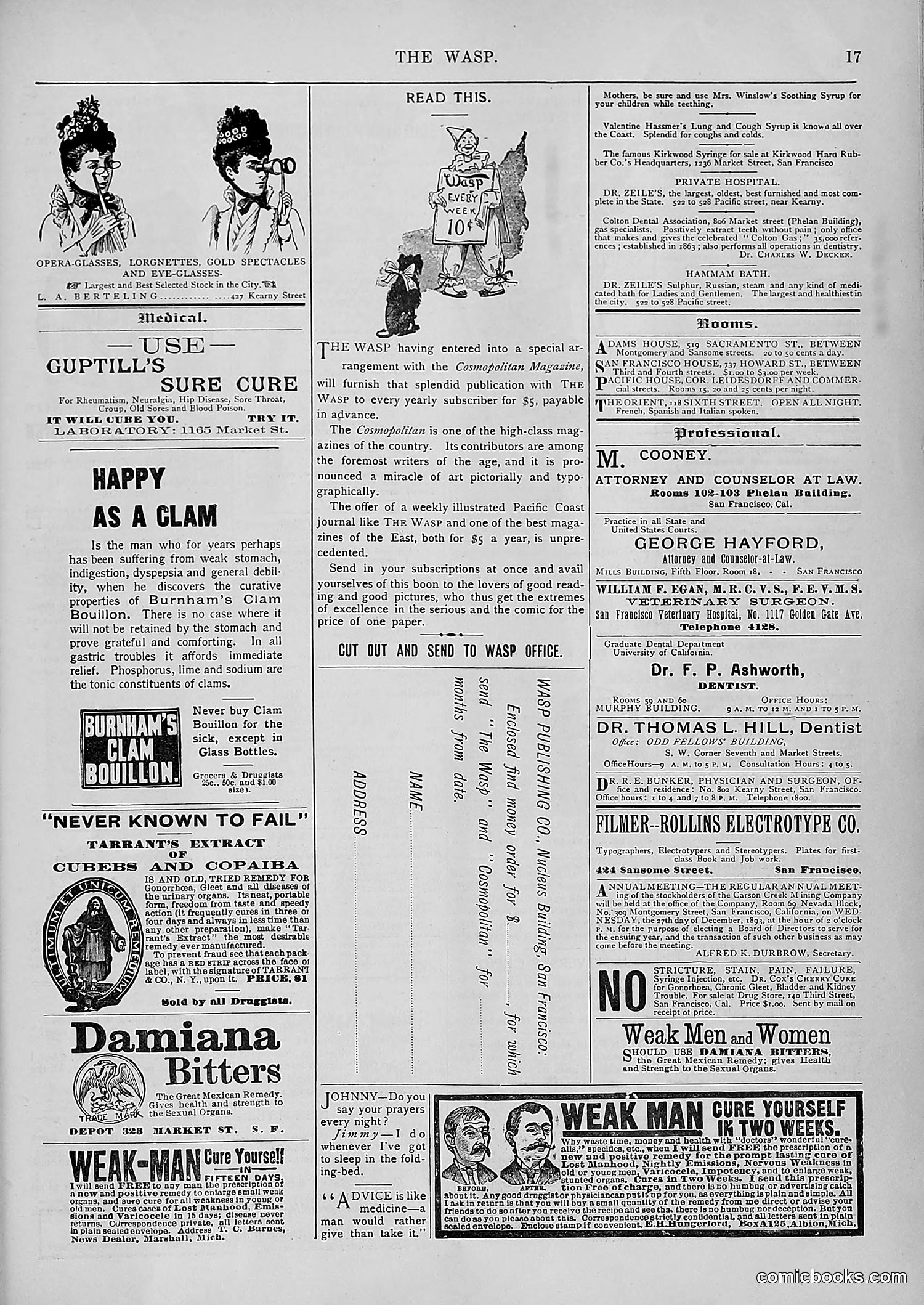 The Wasp — 1893 — page 562 of 578