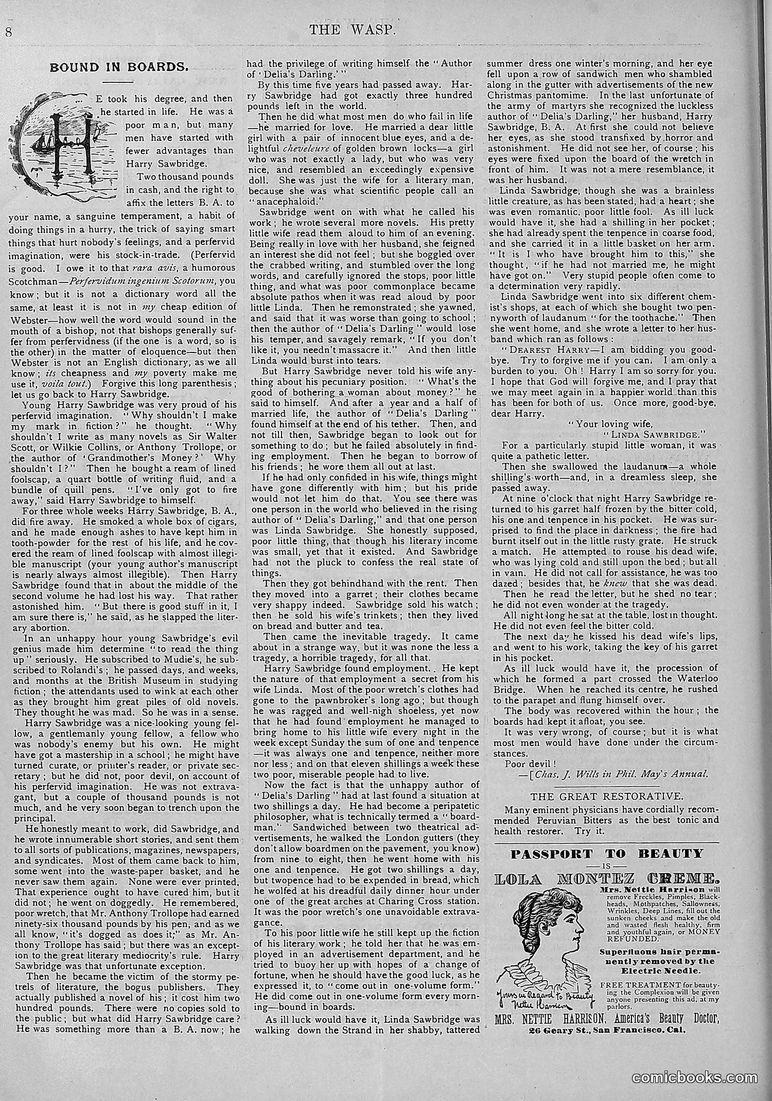 The Wasp — 1893 — page 573 of 578