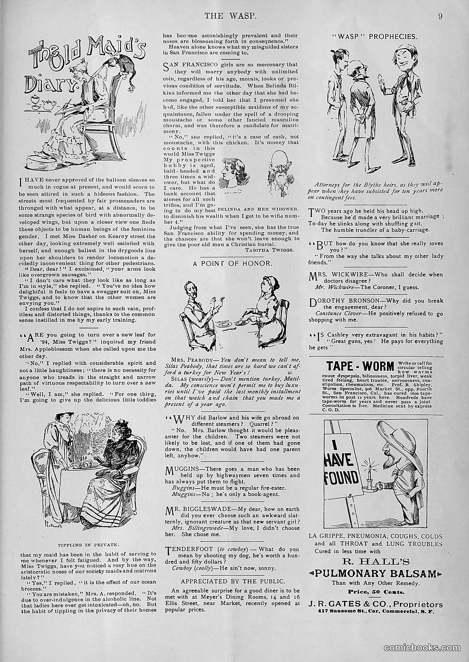 The Wasp — 1893 — page 574 of 578