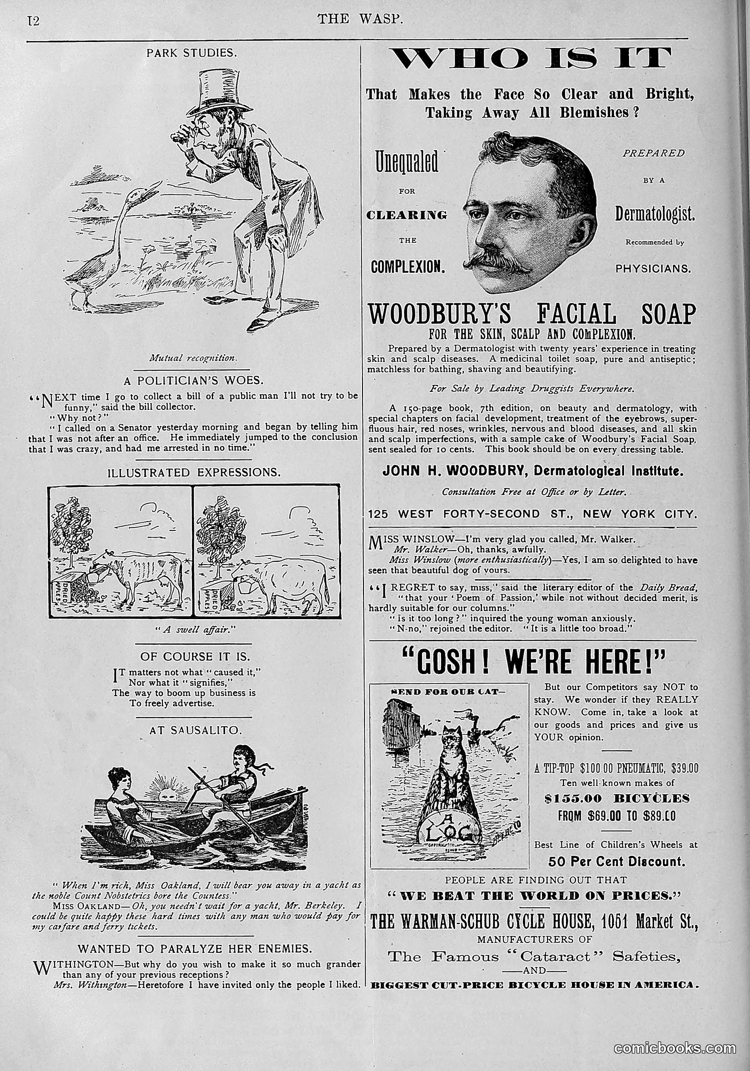 The Wasp — 1893 — page 577 of 578
