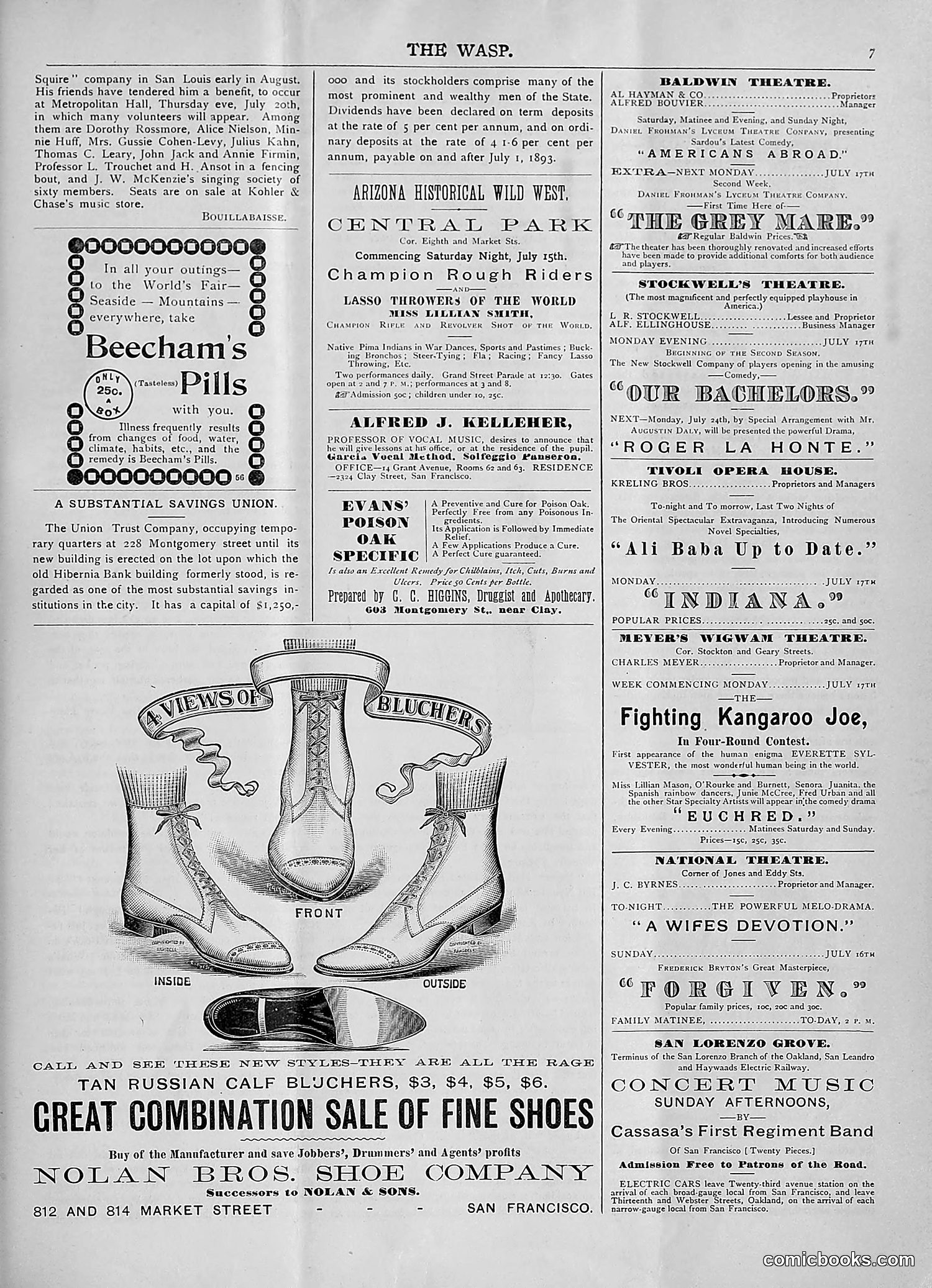 The Wasp — 1893 — page 60 of 578