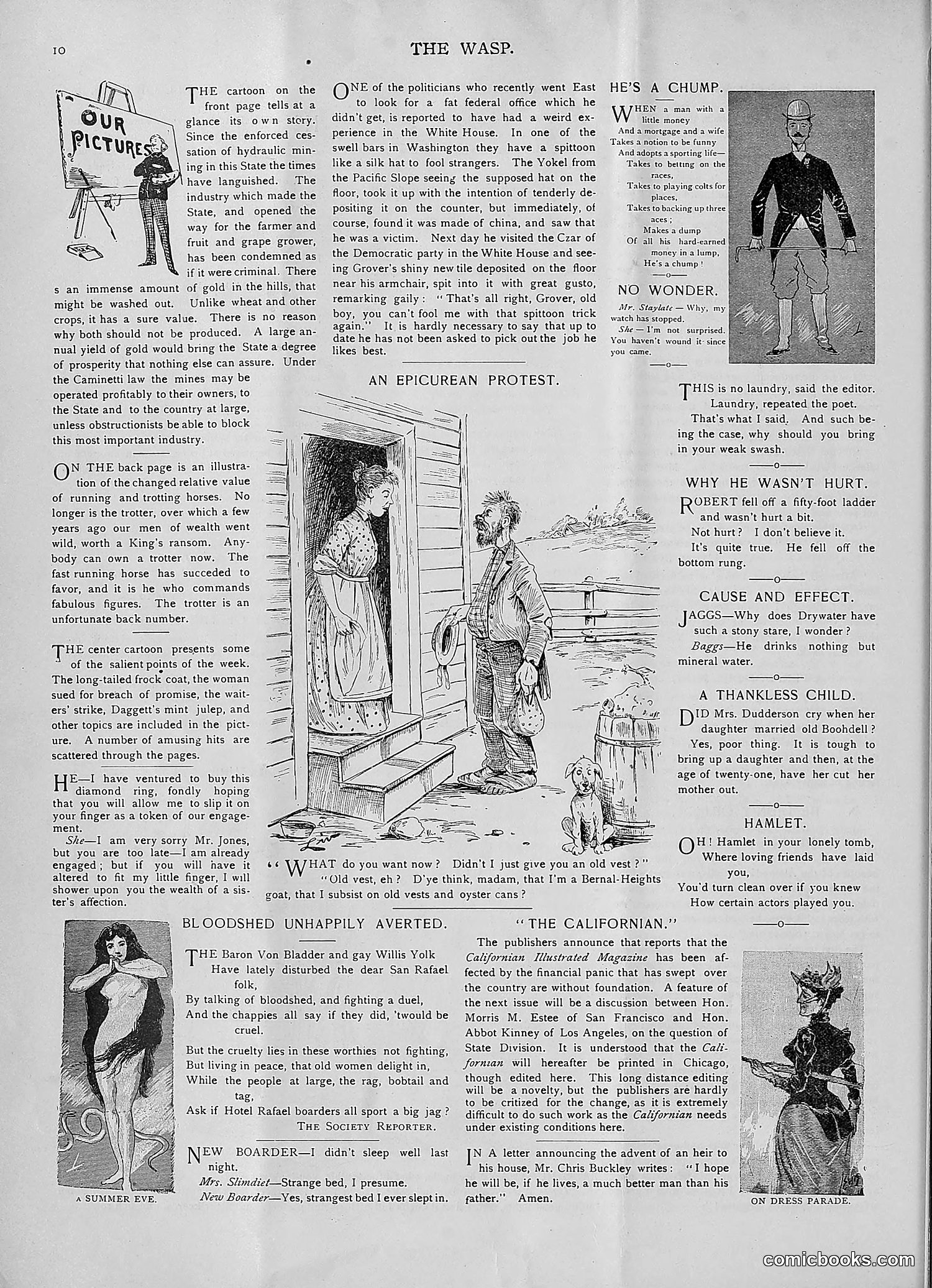 The Wasp — 1893 — page 63 of 578
