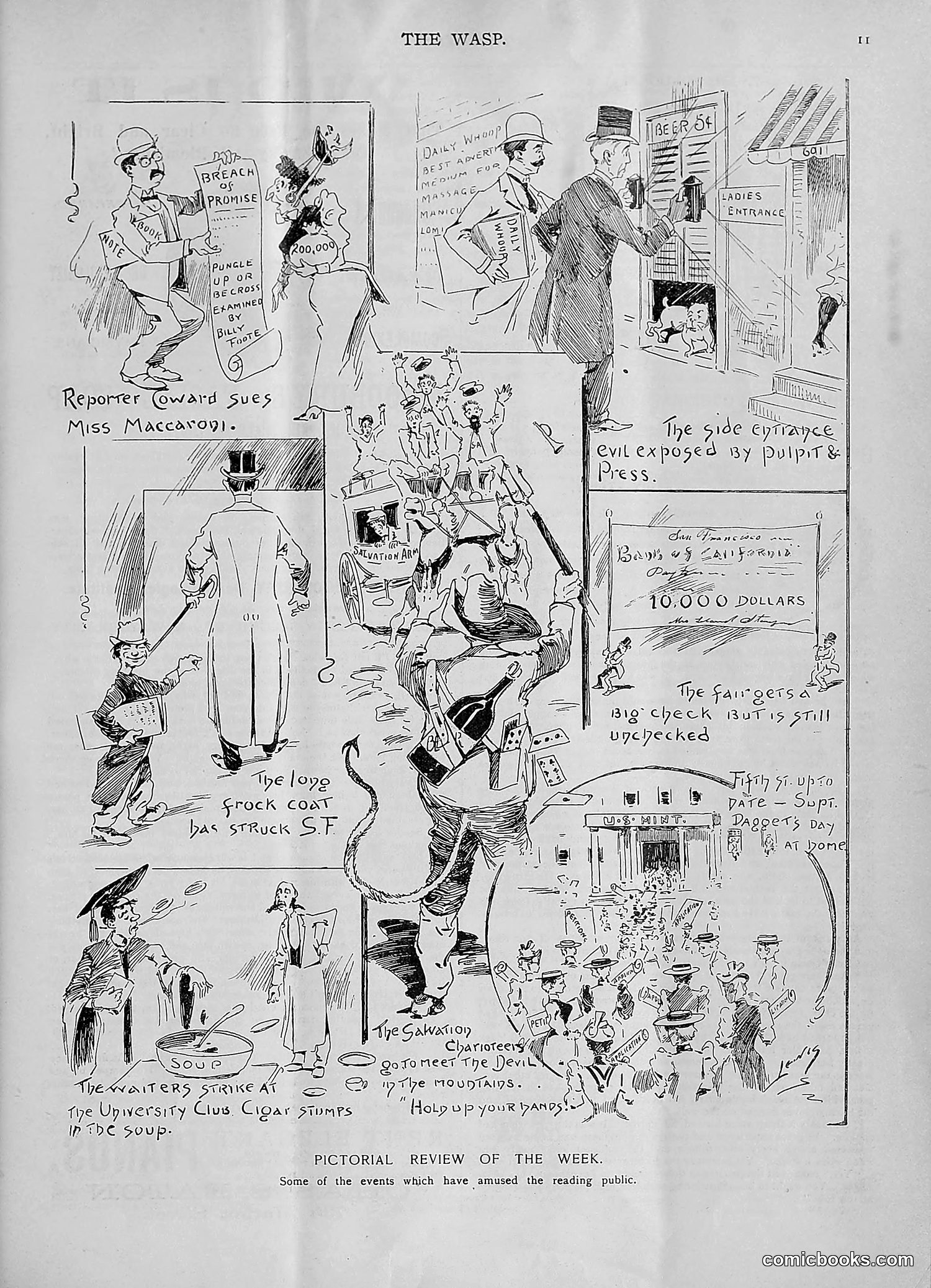 The Wasp — 1893 — page 64 of 578