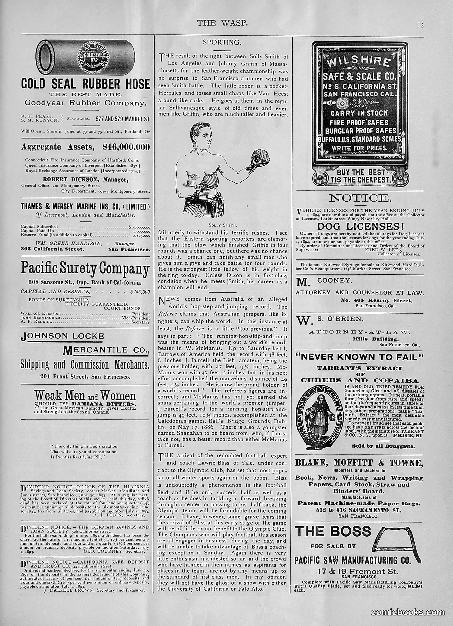 The Wasp — 1893 — page 68 of 578