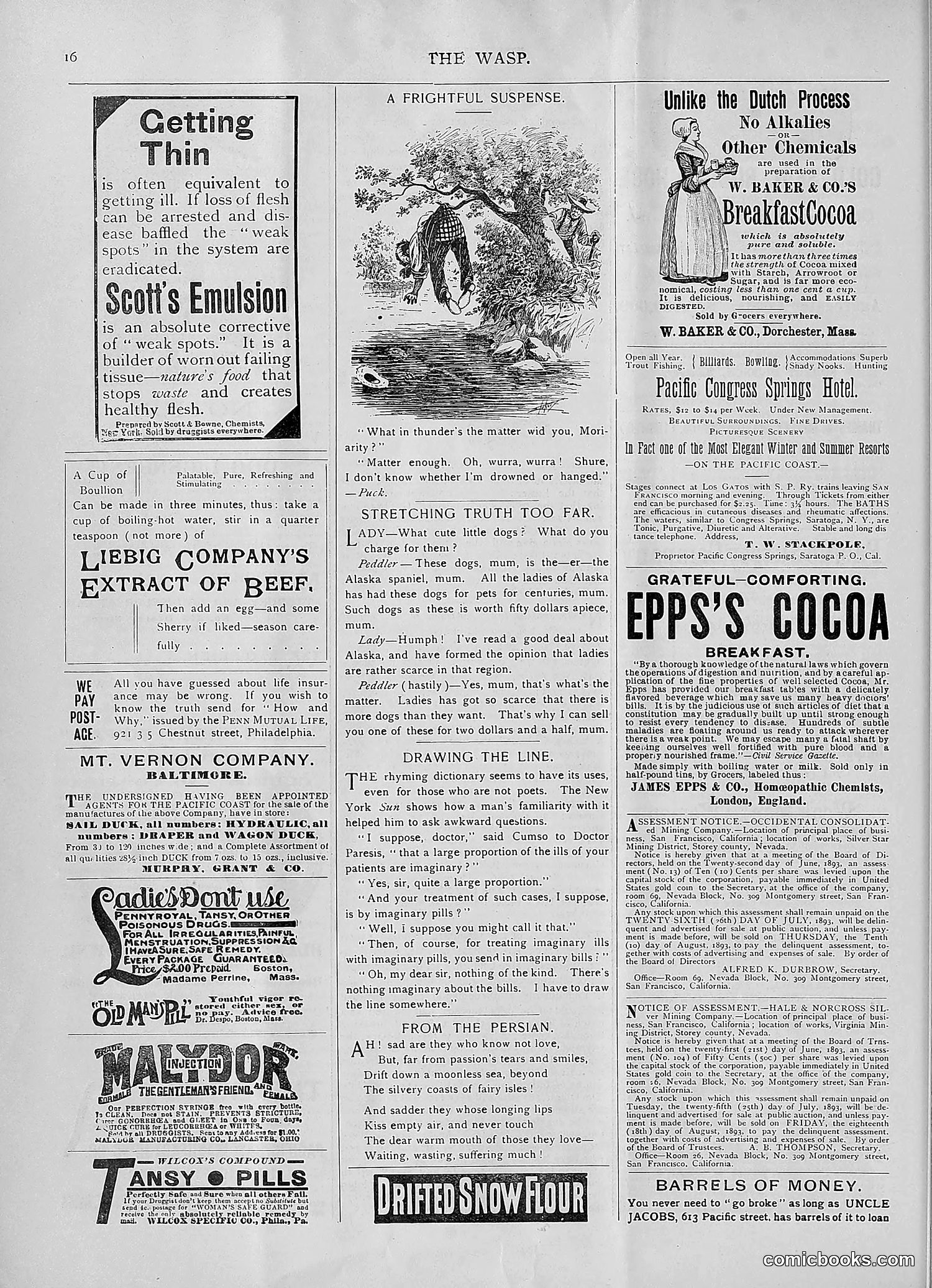 The Wasp — 1893 — page 69 of 578
