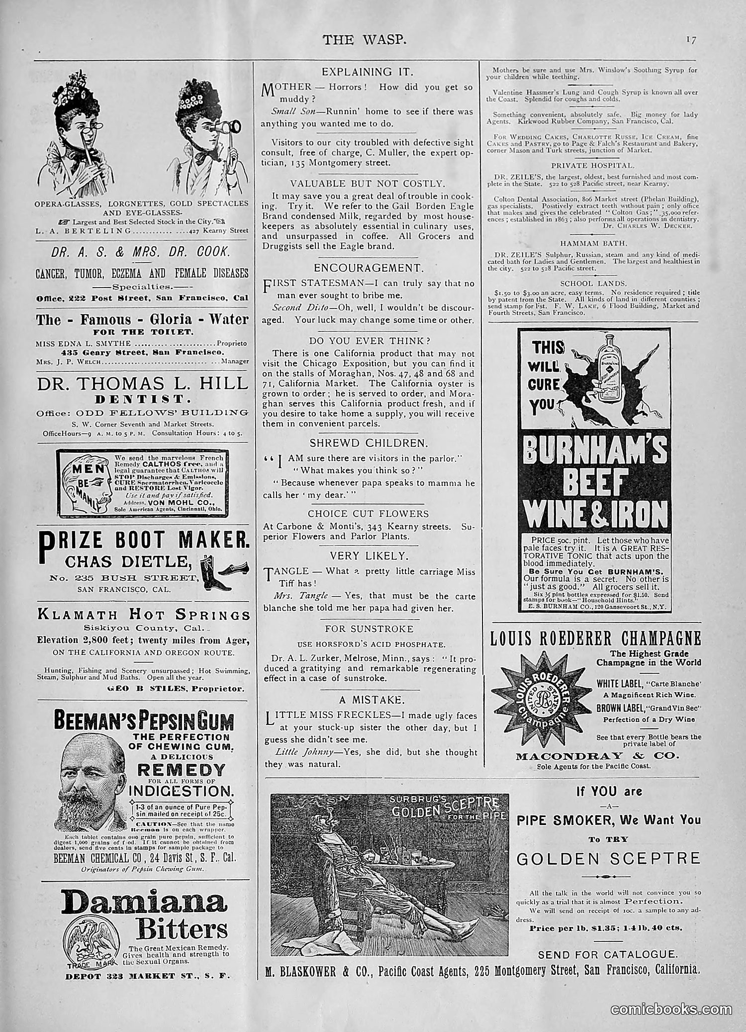 The Wasp — 1893 — page 70 of 578