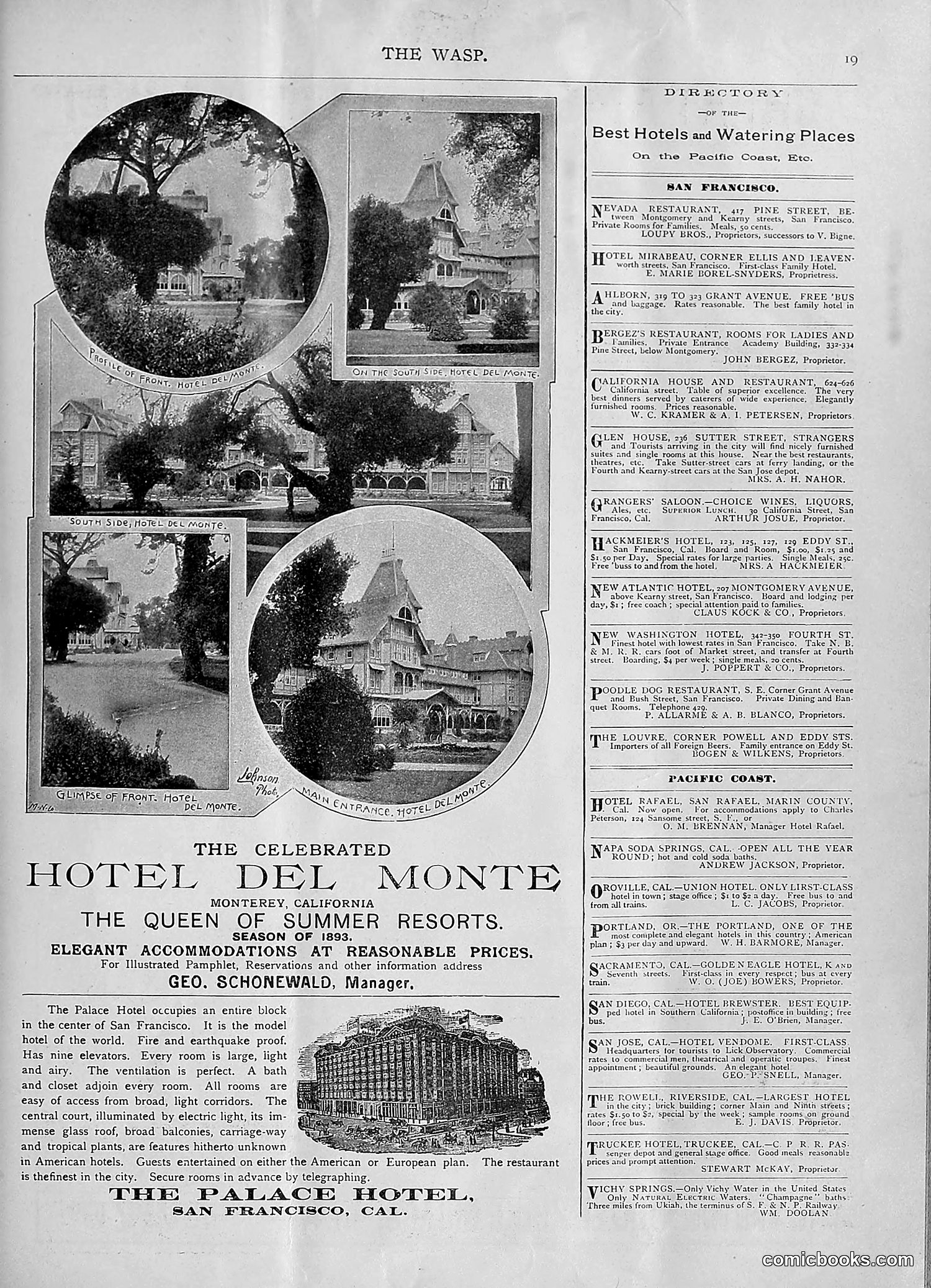 The Wasp — 1893 — page 72 of 578