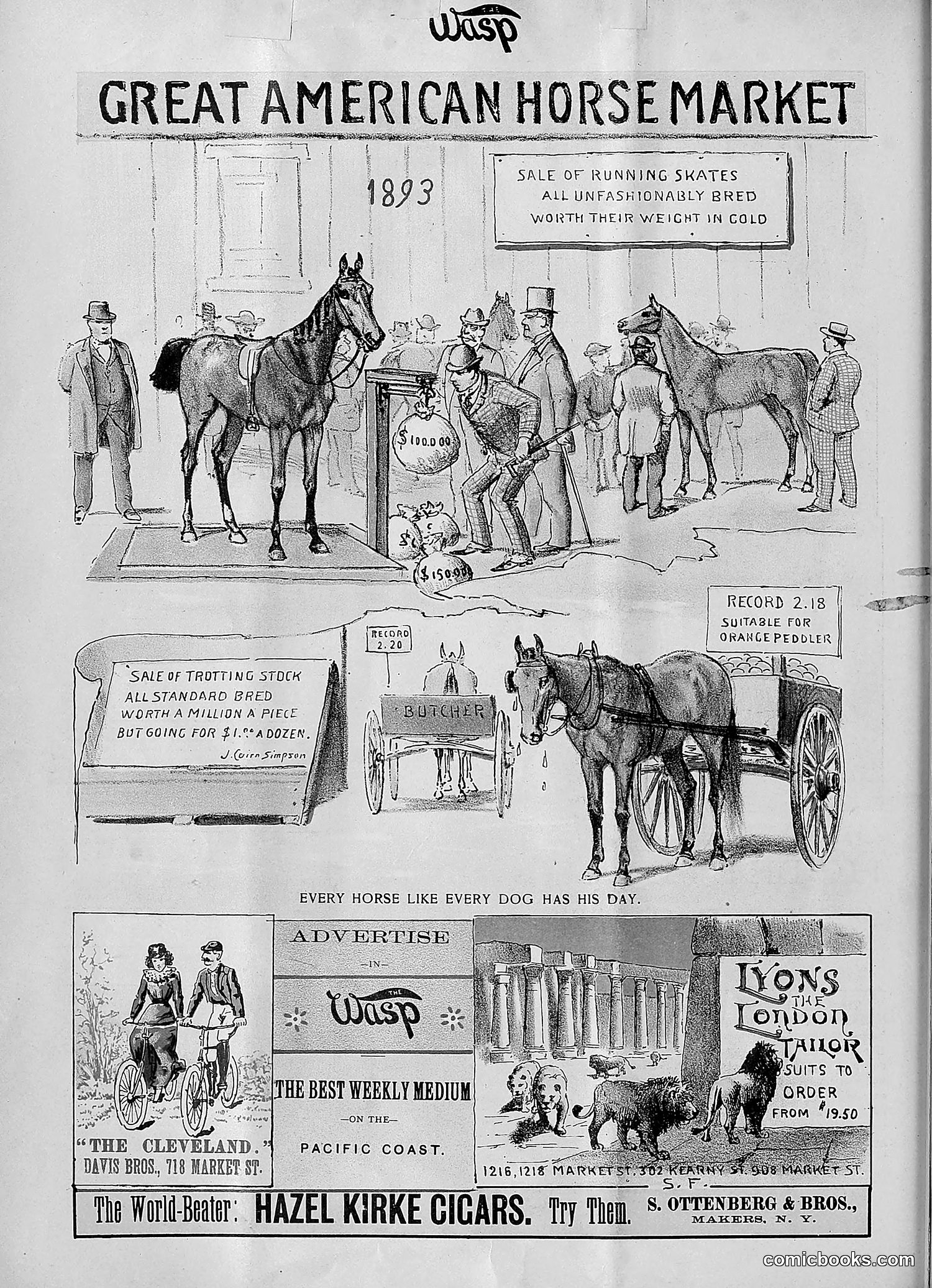 The Wasp — 1893 — page 73 of 578