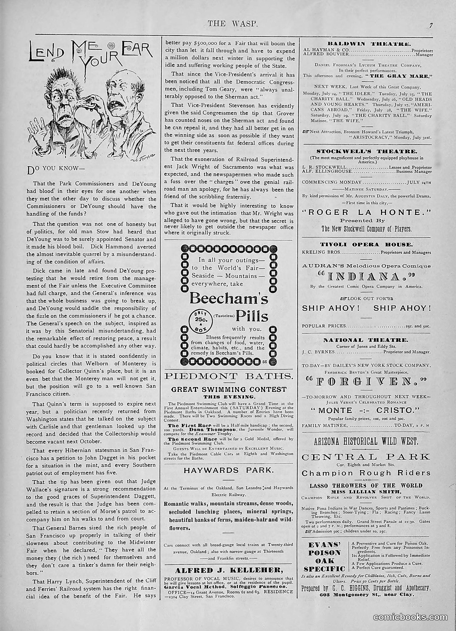 The Wasp — 1893 — page 80 of 578