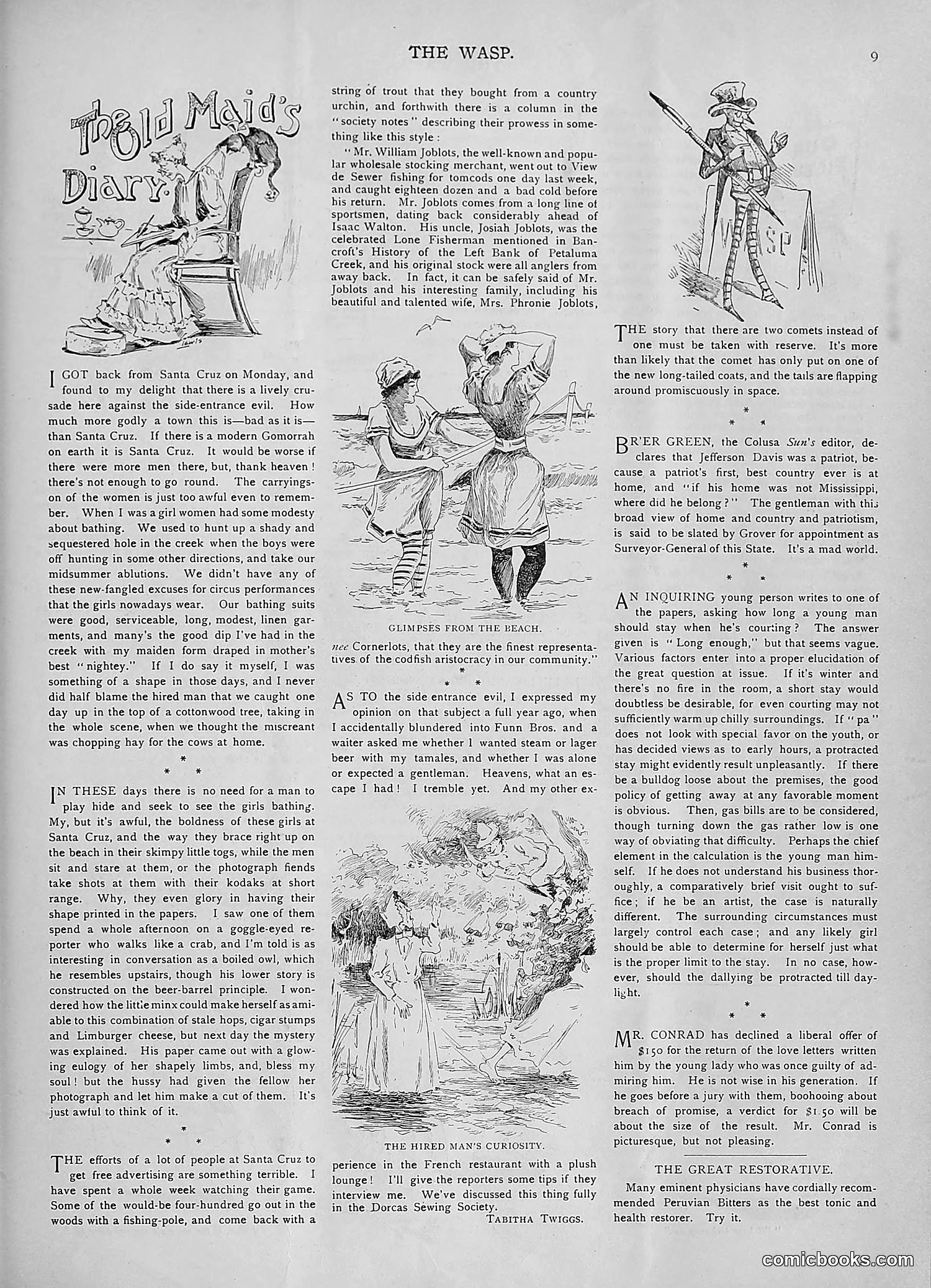 The Wasp — 1893 — page 82 of 578
