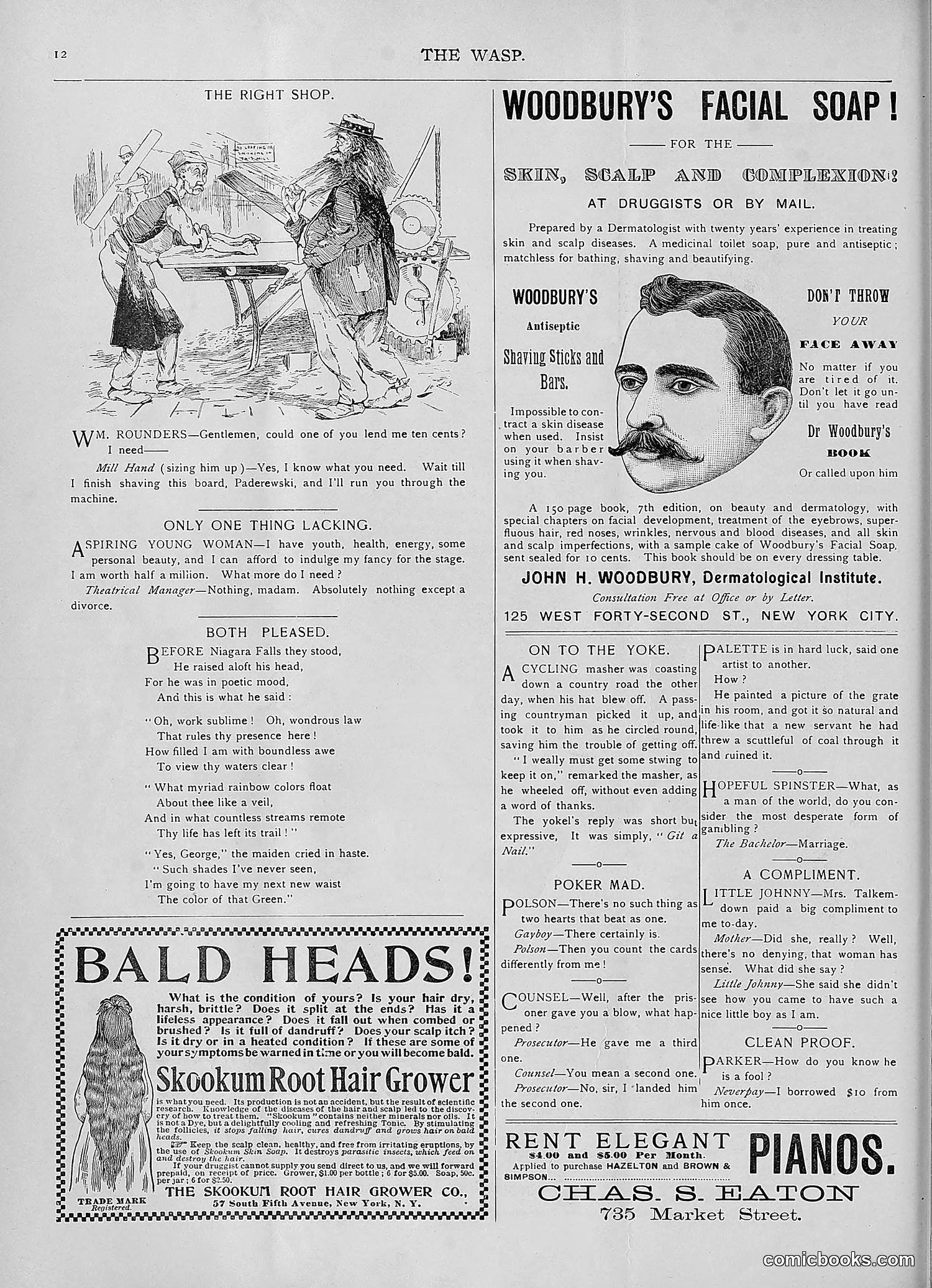 The Wasp — 1893 — page 85 of 578