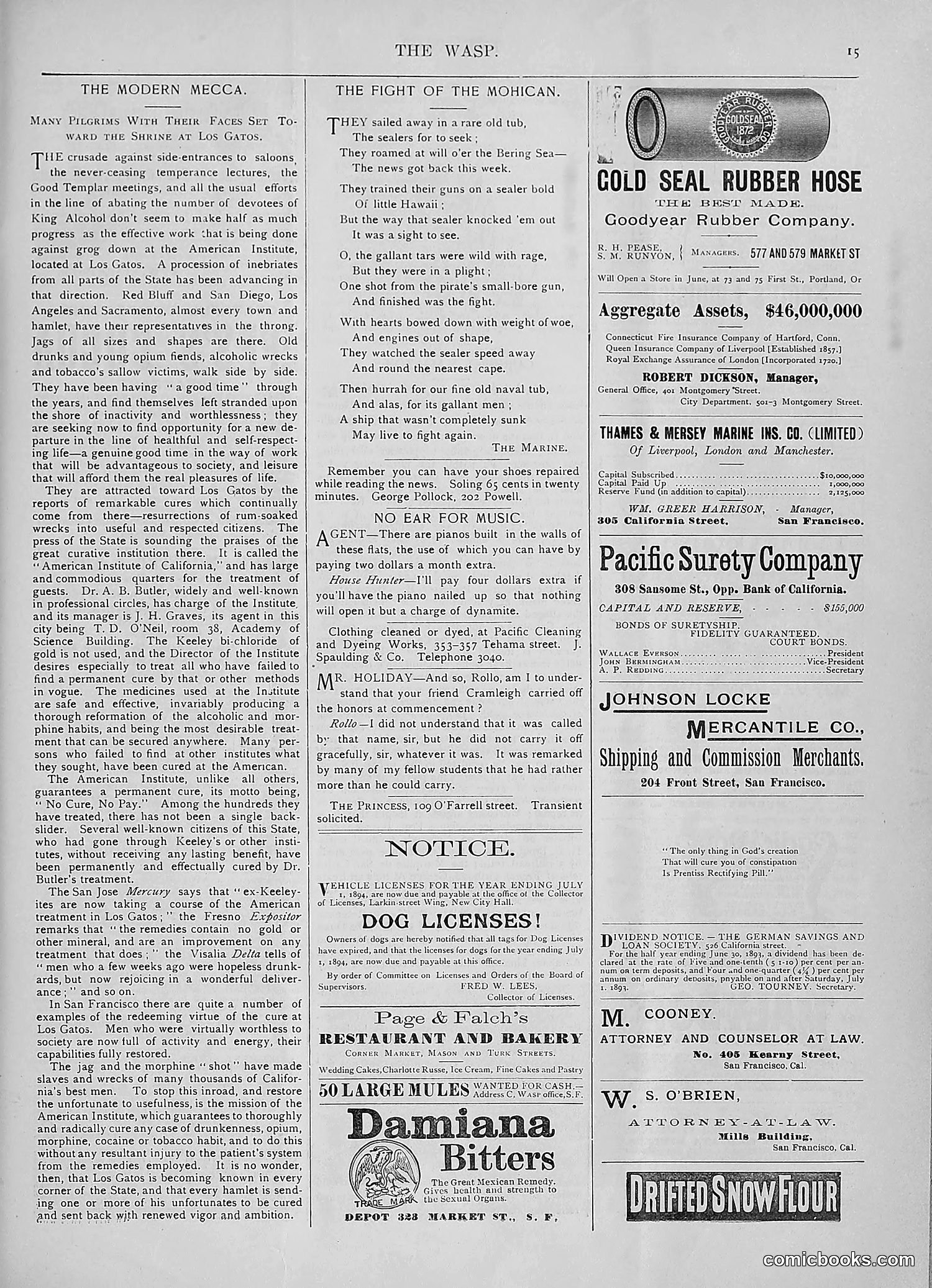 The Wasp — 1893 — page 88 of 578