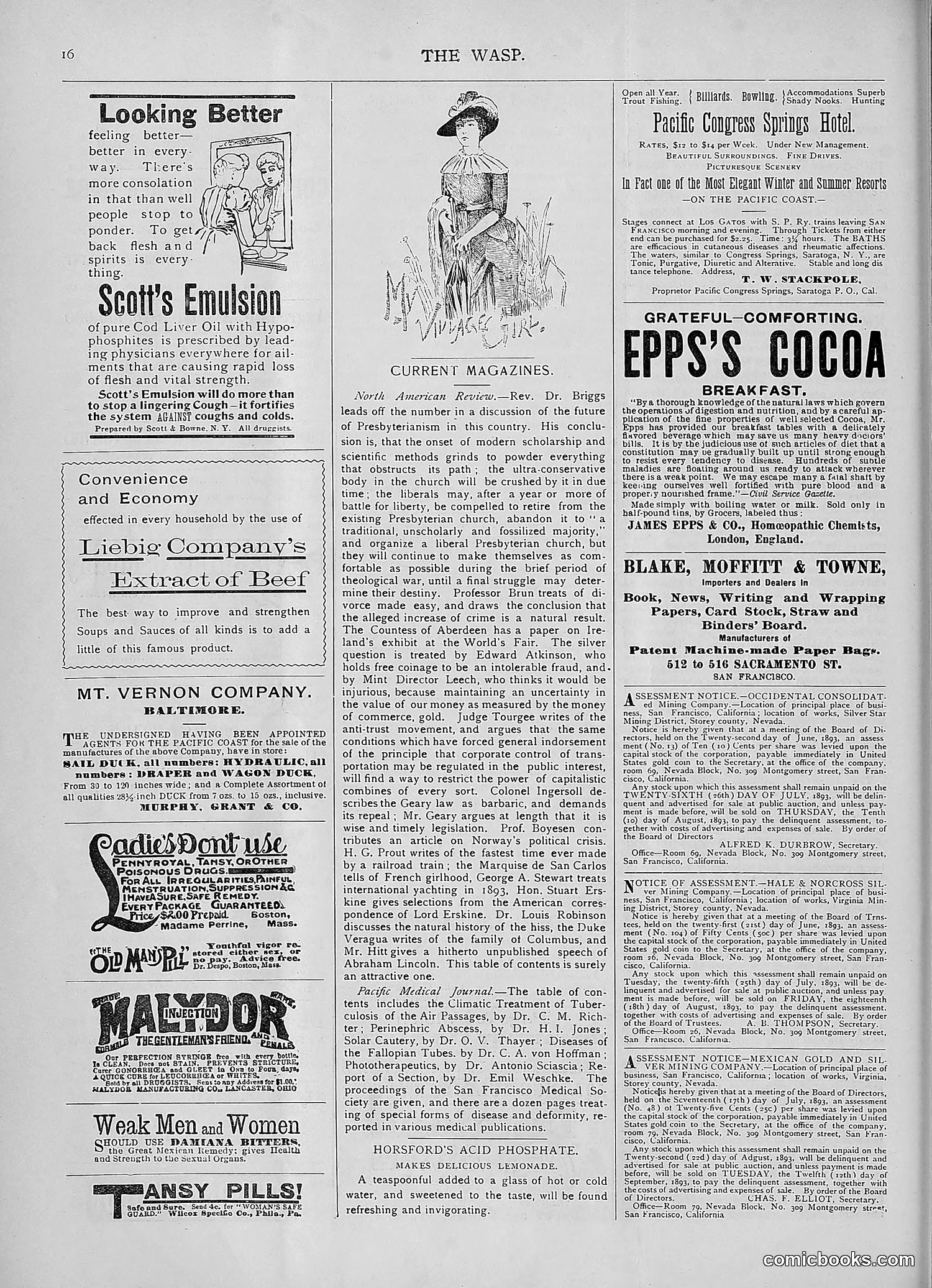 The Wasp — 1893 — page 89 of 578