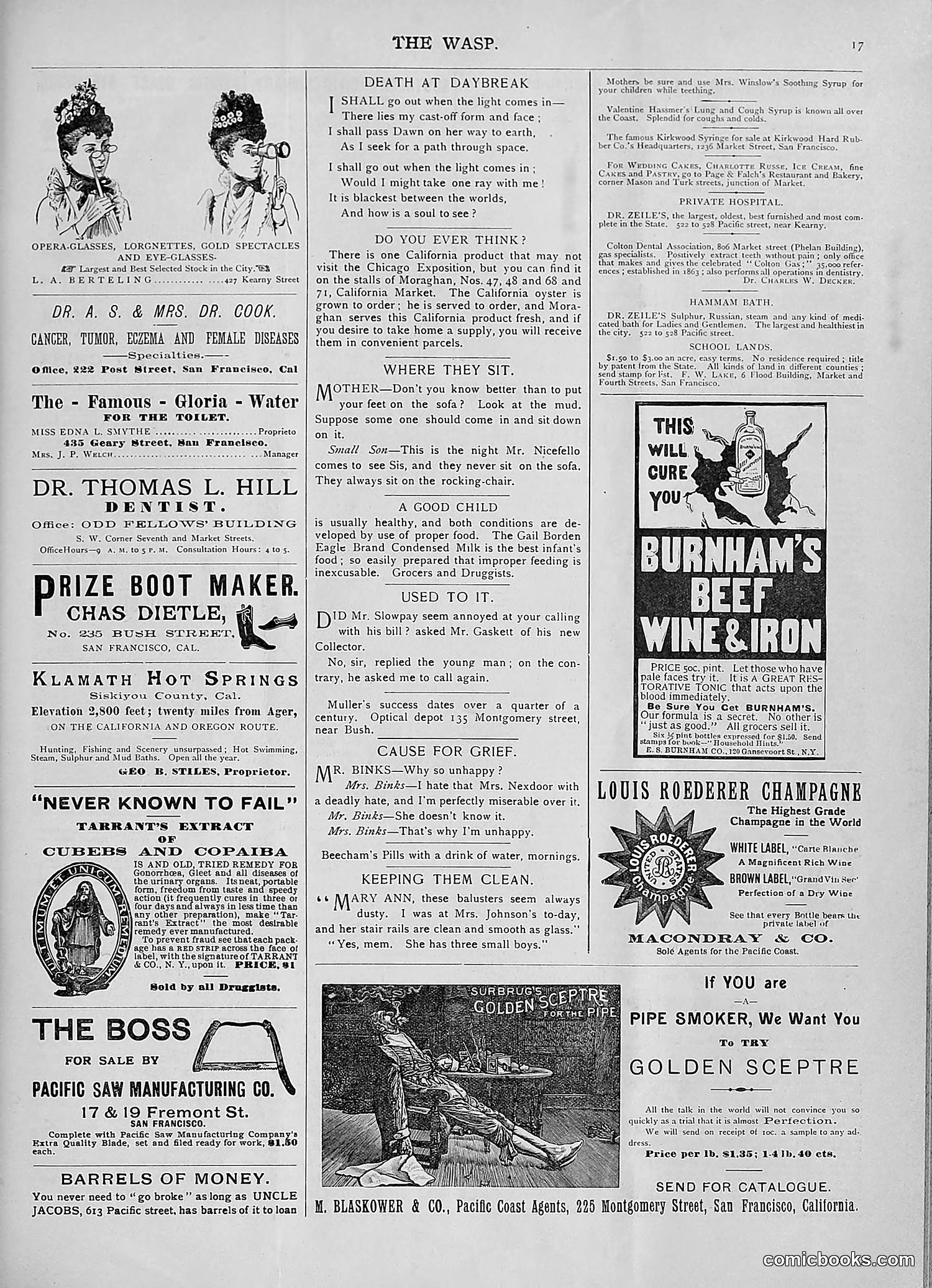 The Wasp — 1893 — page 90 of 578
