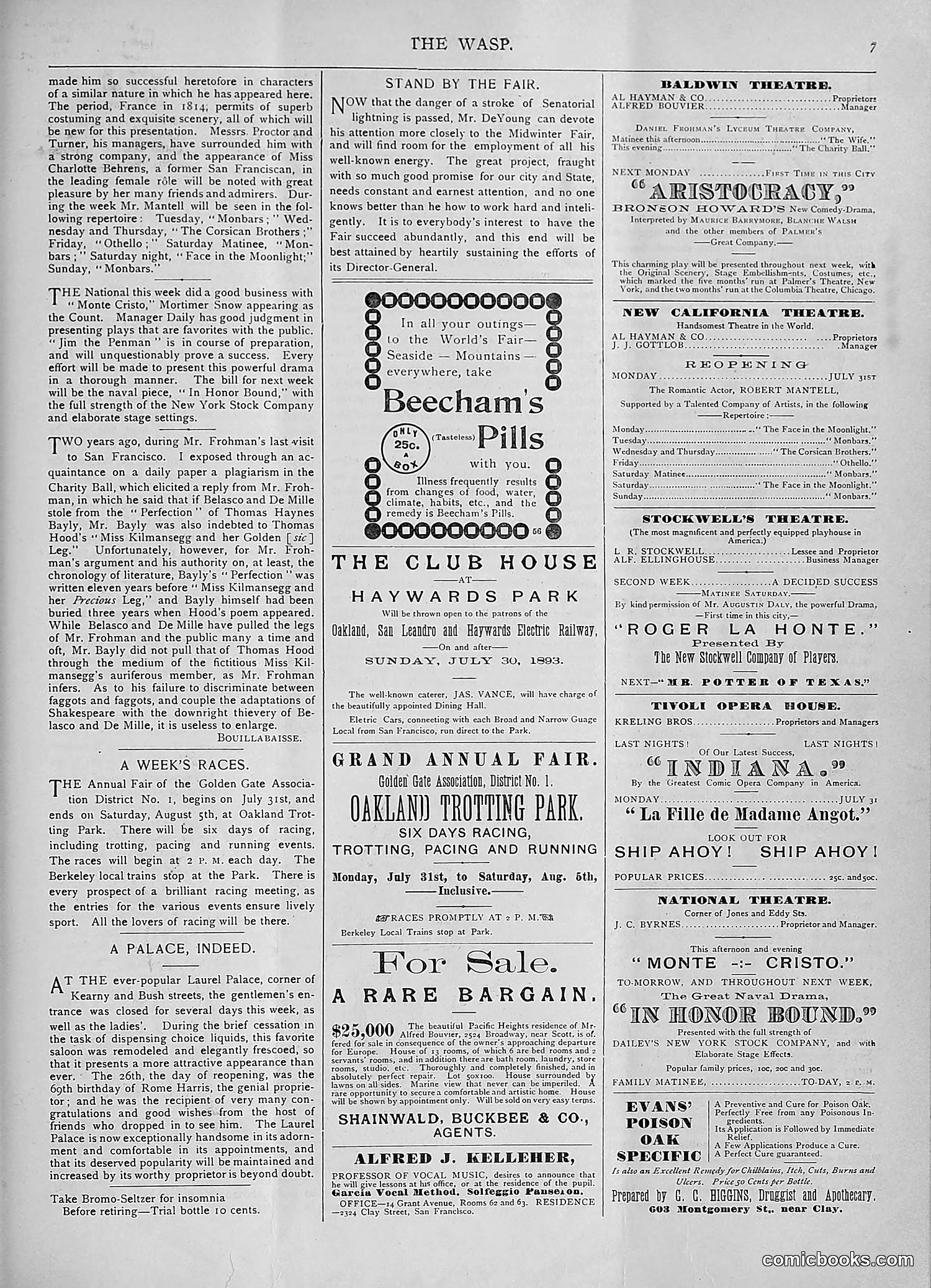 The Wasp — 1893 — page 100 of 578