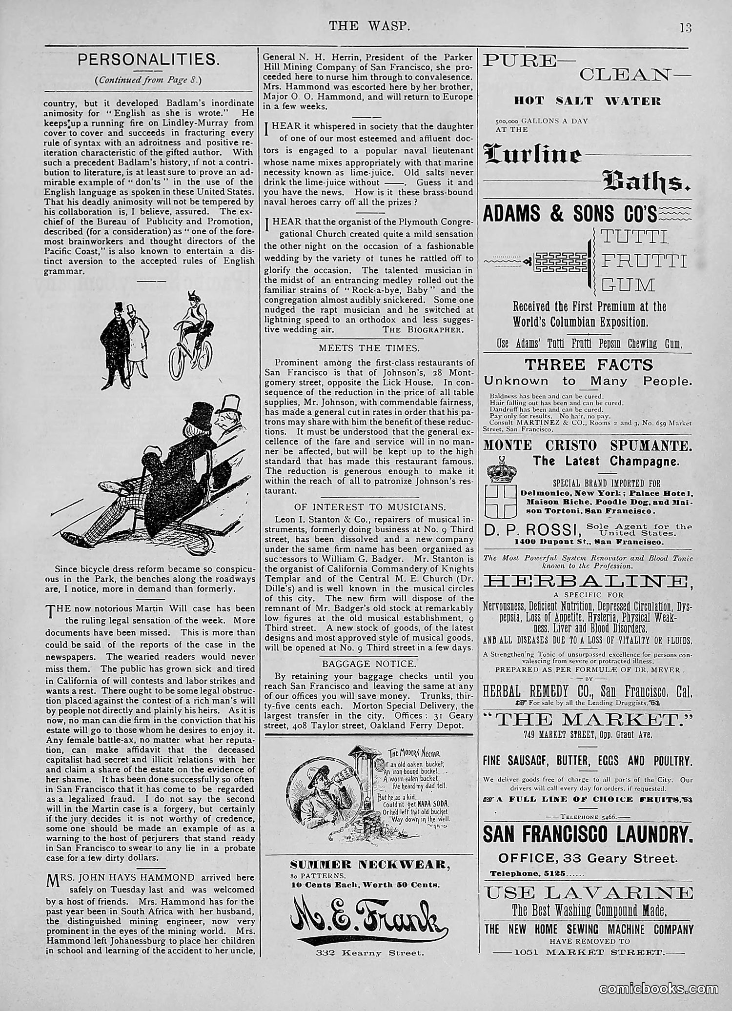 The Wasp — 1894 — page 102 of 524