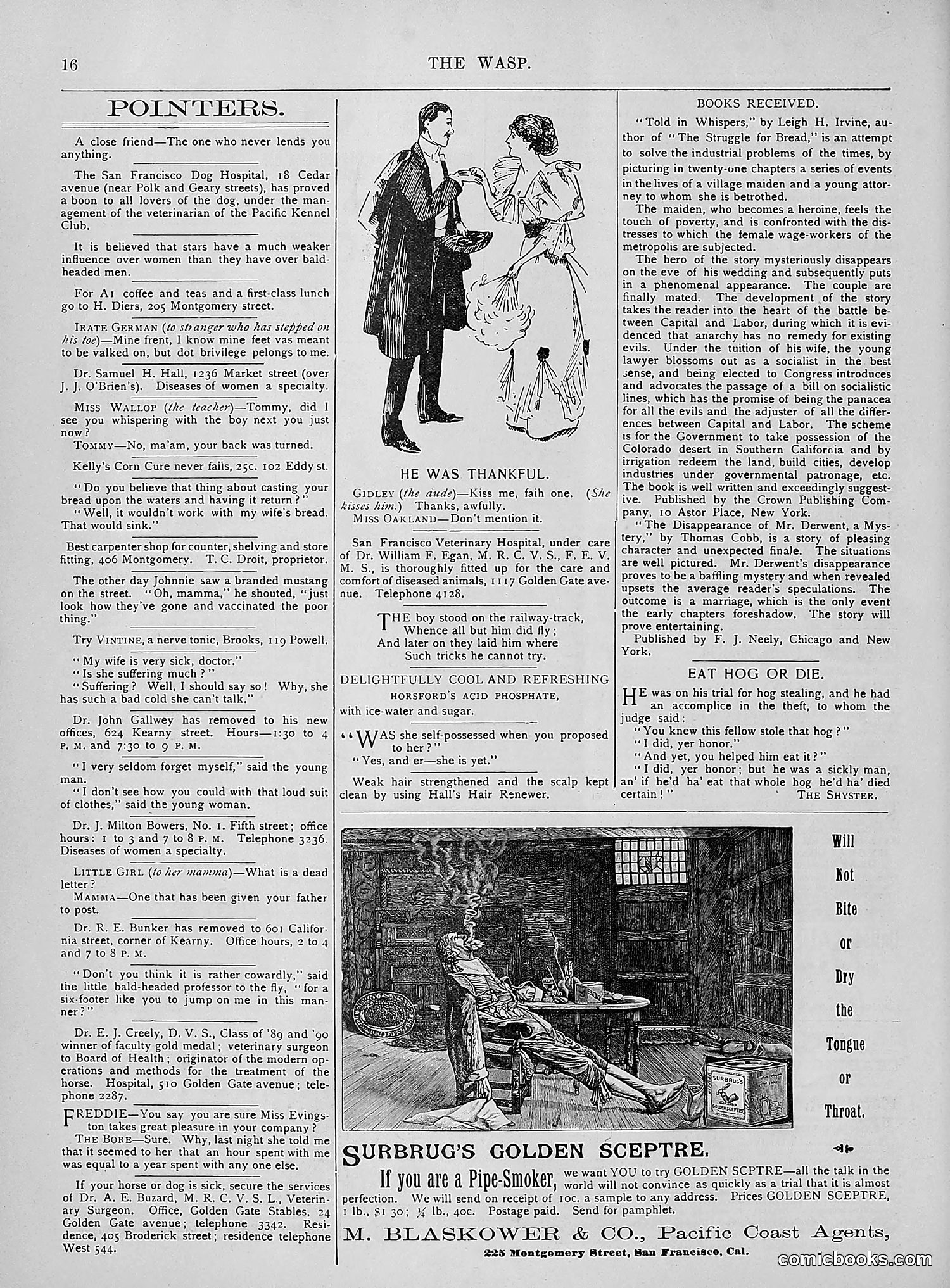 The Wasp — 1894 — page 105 of 524