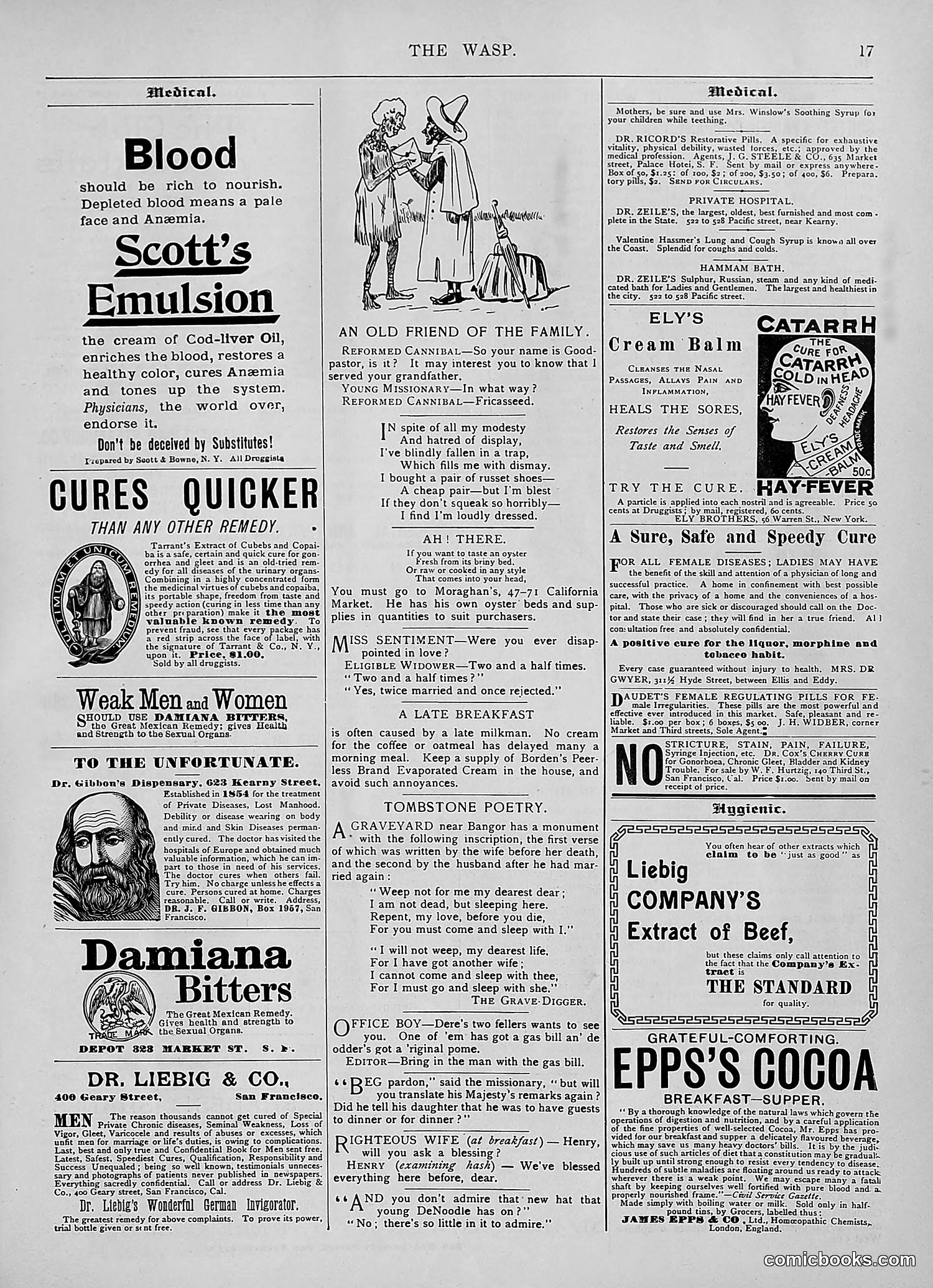 The Wasp — 1894 — page 106 of 524