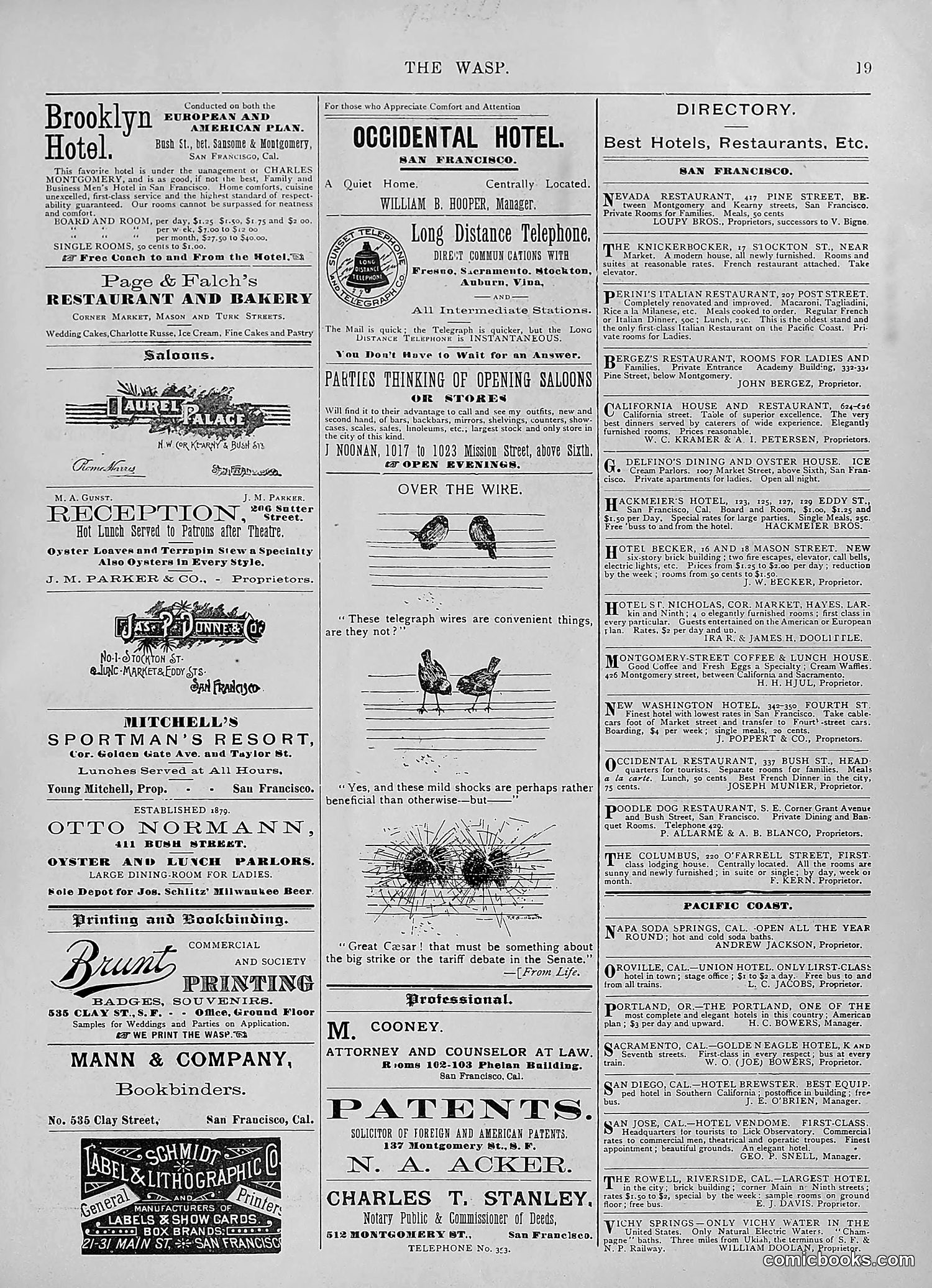 The Wasp — 1894 — page 108 of 524