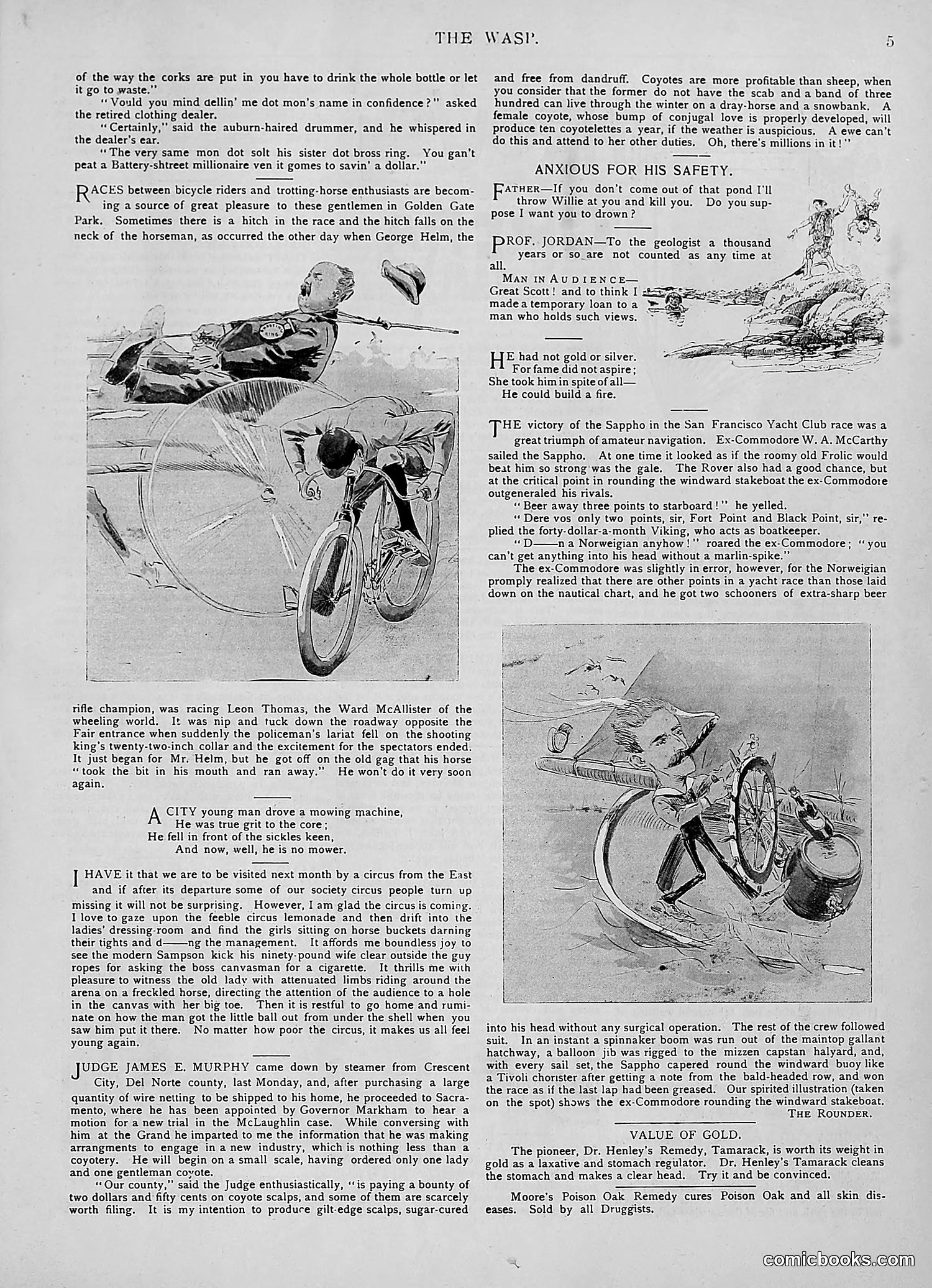 The Wasp — 1894 — page 114 of 524