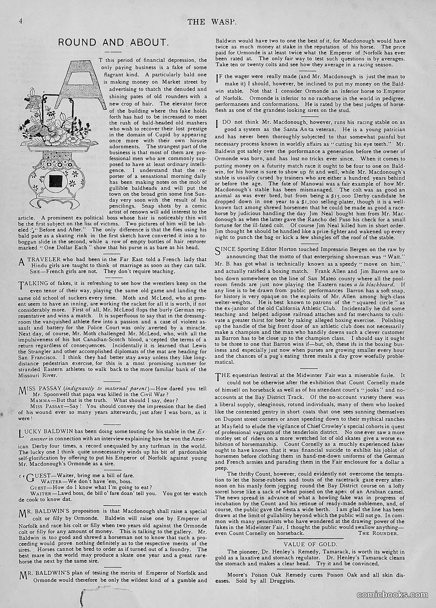 The Wasp — 1894 — page 13 of 524