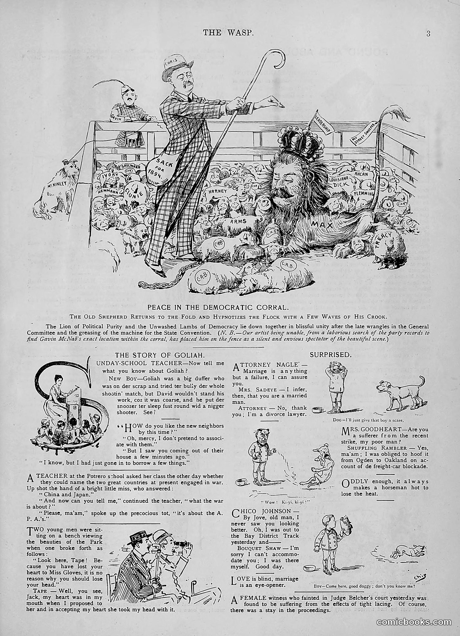 The Wasp — 1894 — page 132 of 524
