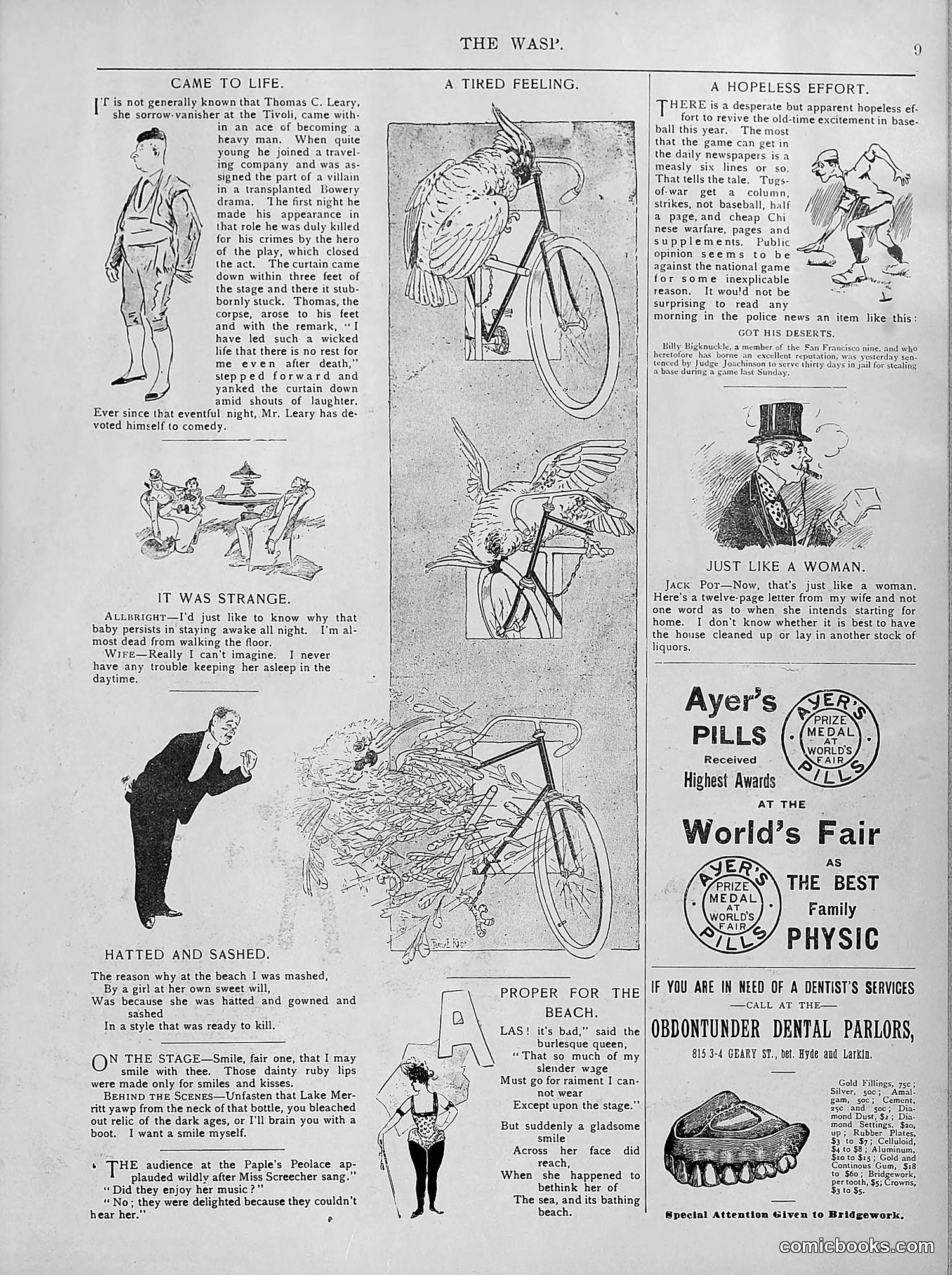 The Wasp — 1894 — page 138 of 524