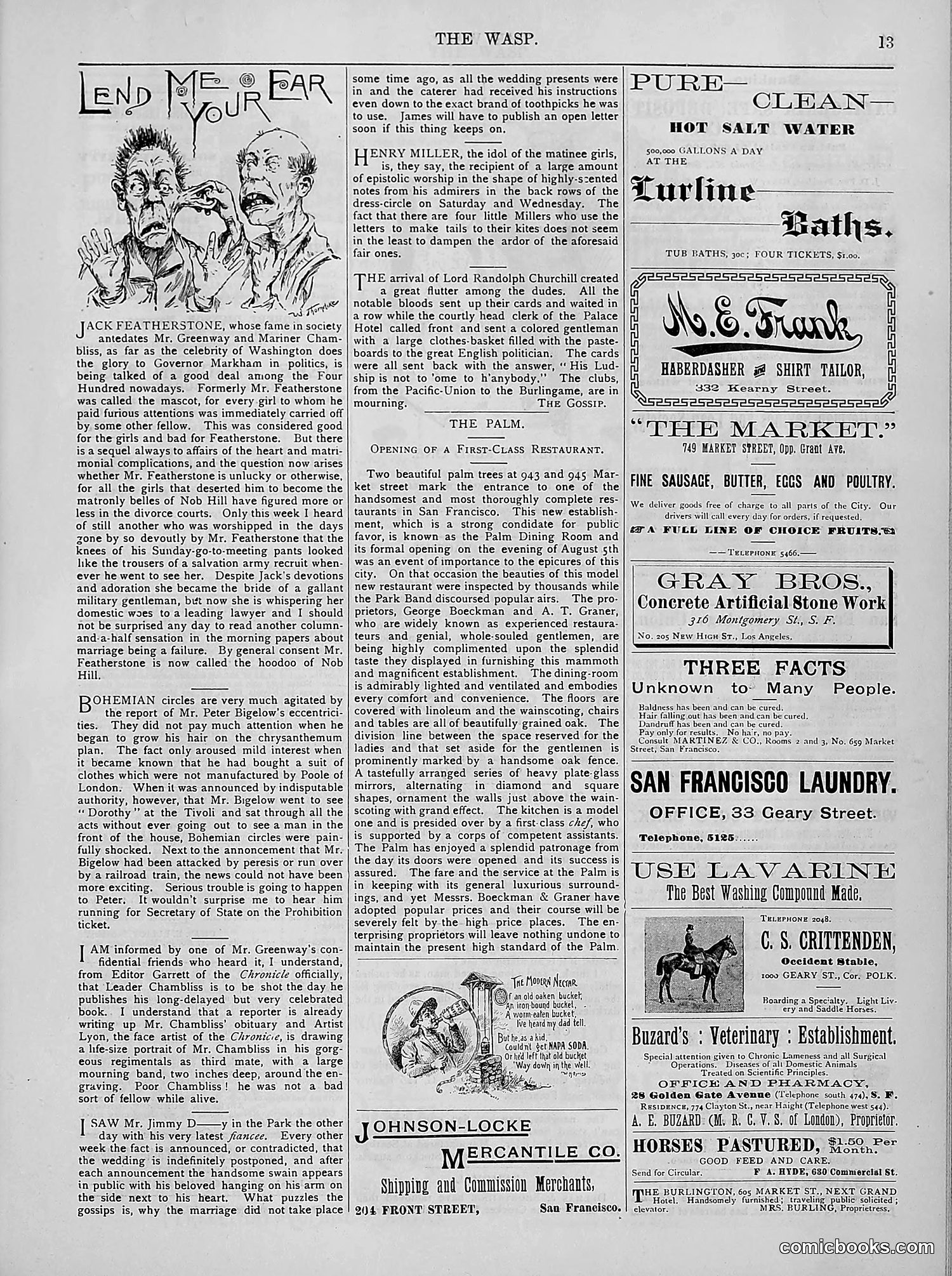 The Wasp — 1894 — page 142 of 524