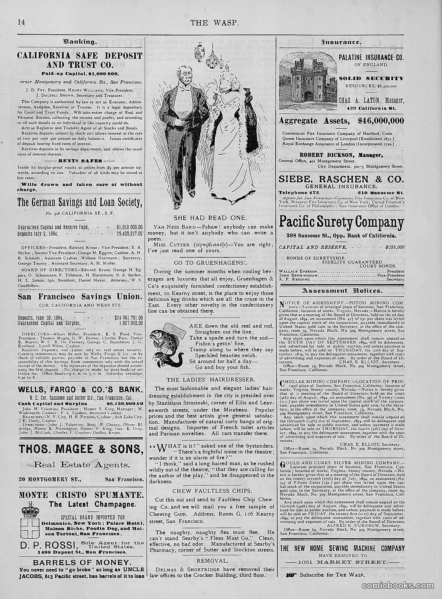 The Wasp — 1894 — page 143 of 524