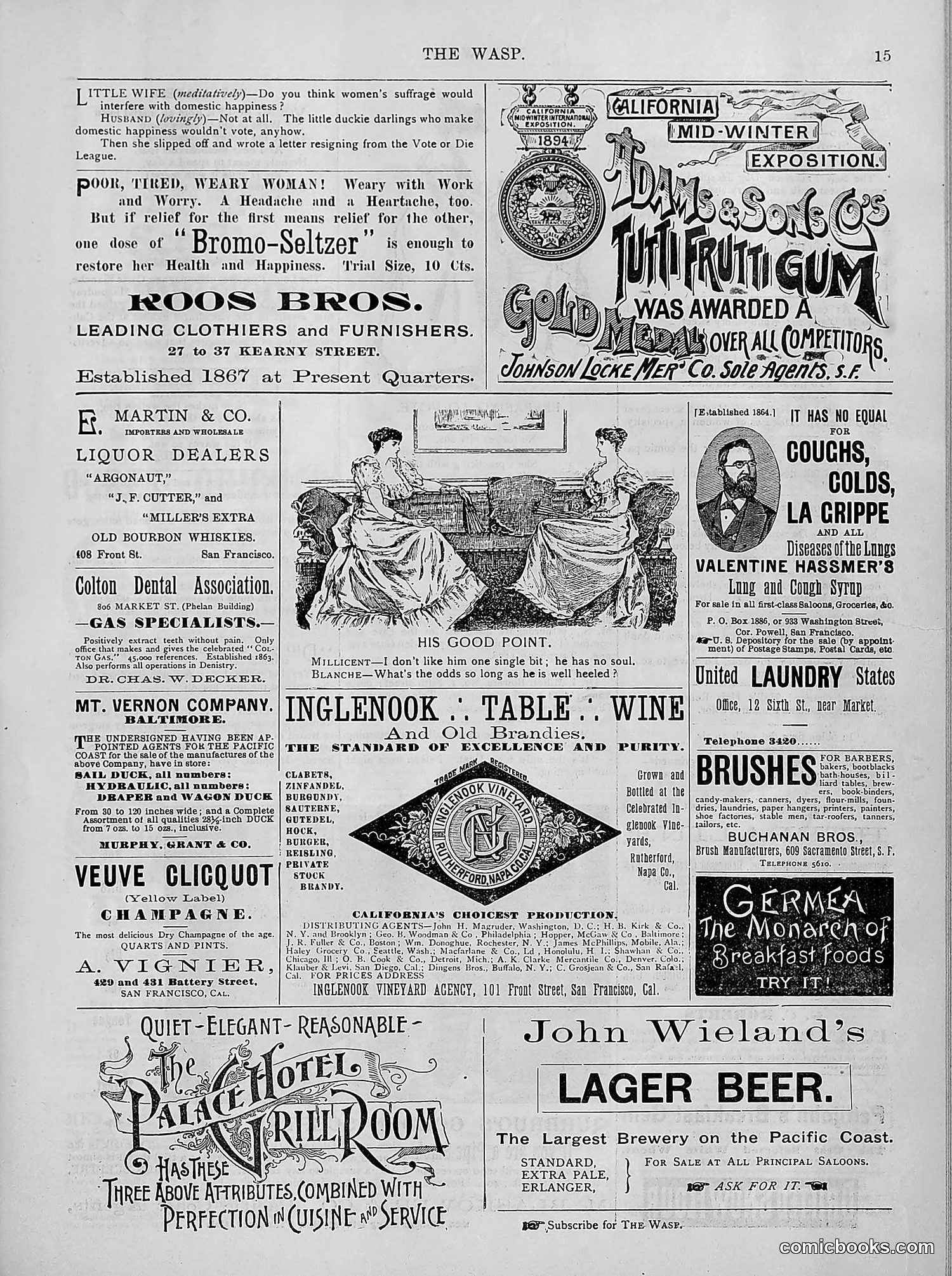 The Wasp — 1894 — page 144 of 524