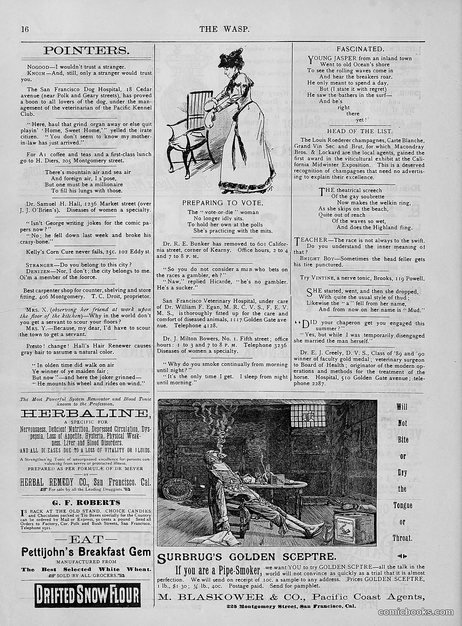 The Wasp — 1894 — page 145 of 524