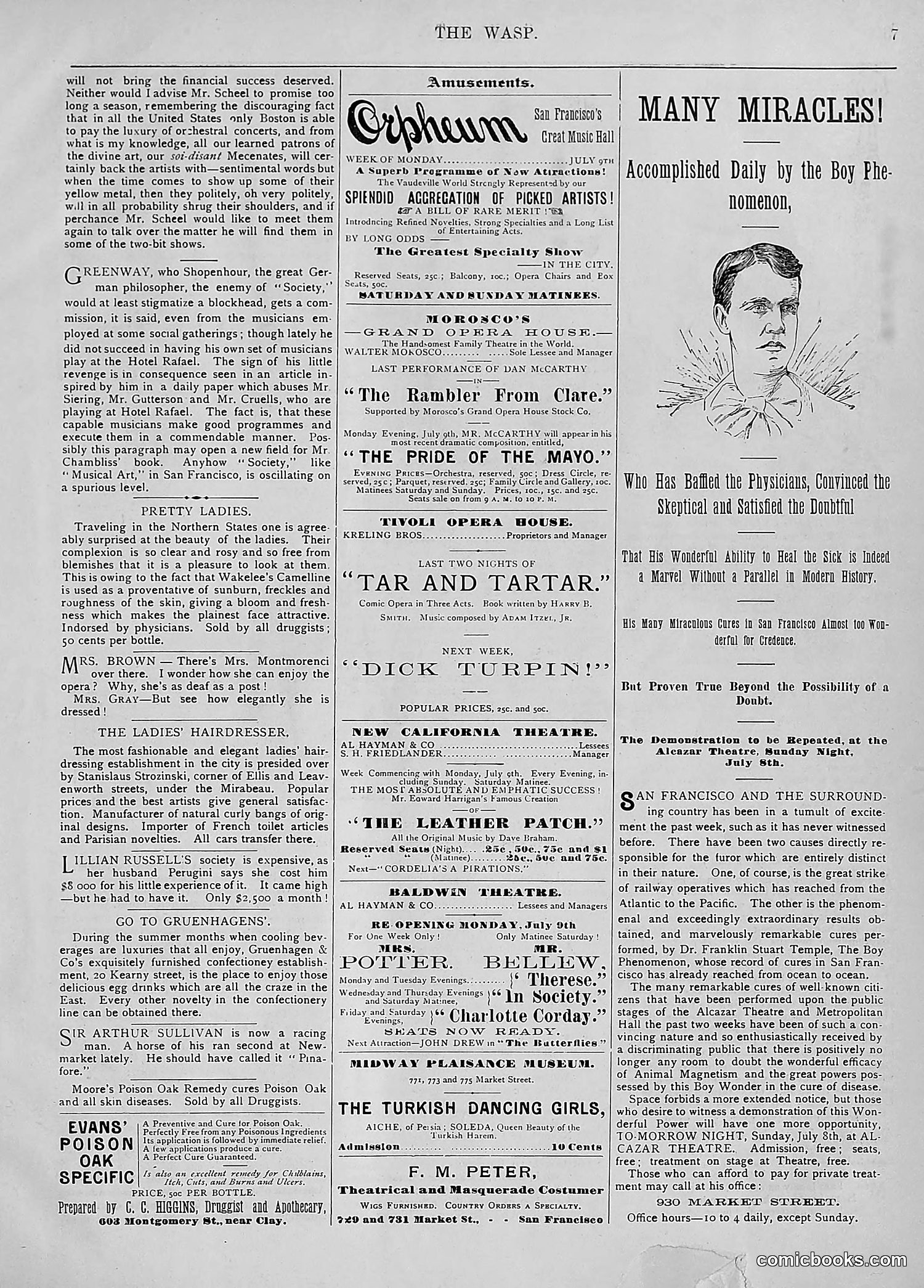 The Wasp — 1894 — page 16 of 524