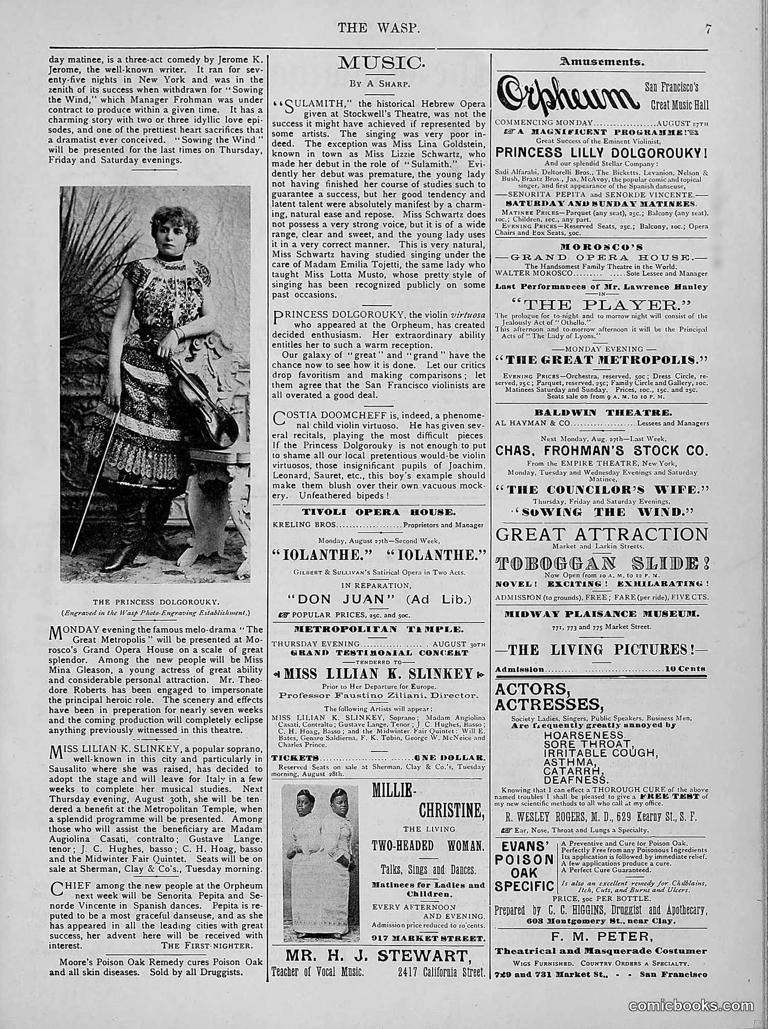 The Wasp — 1894 — page 156 of 524