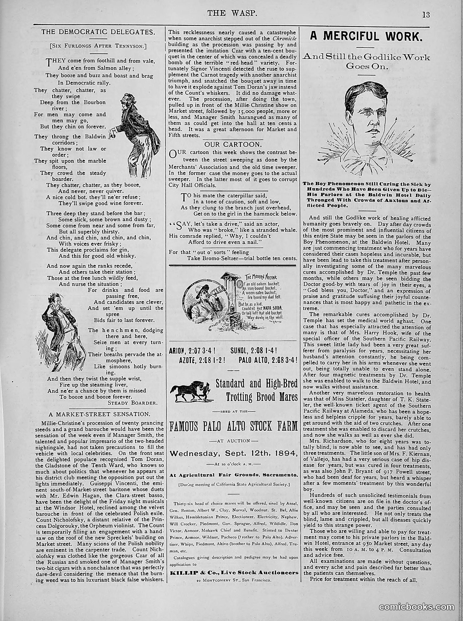 The Wasp — 1894 — page 162 of 524