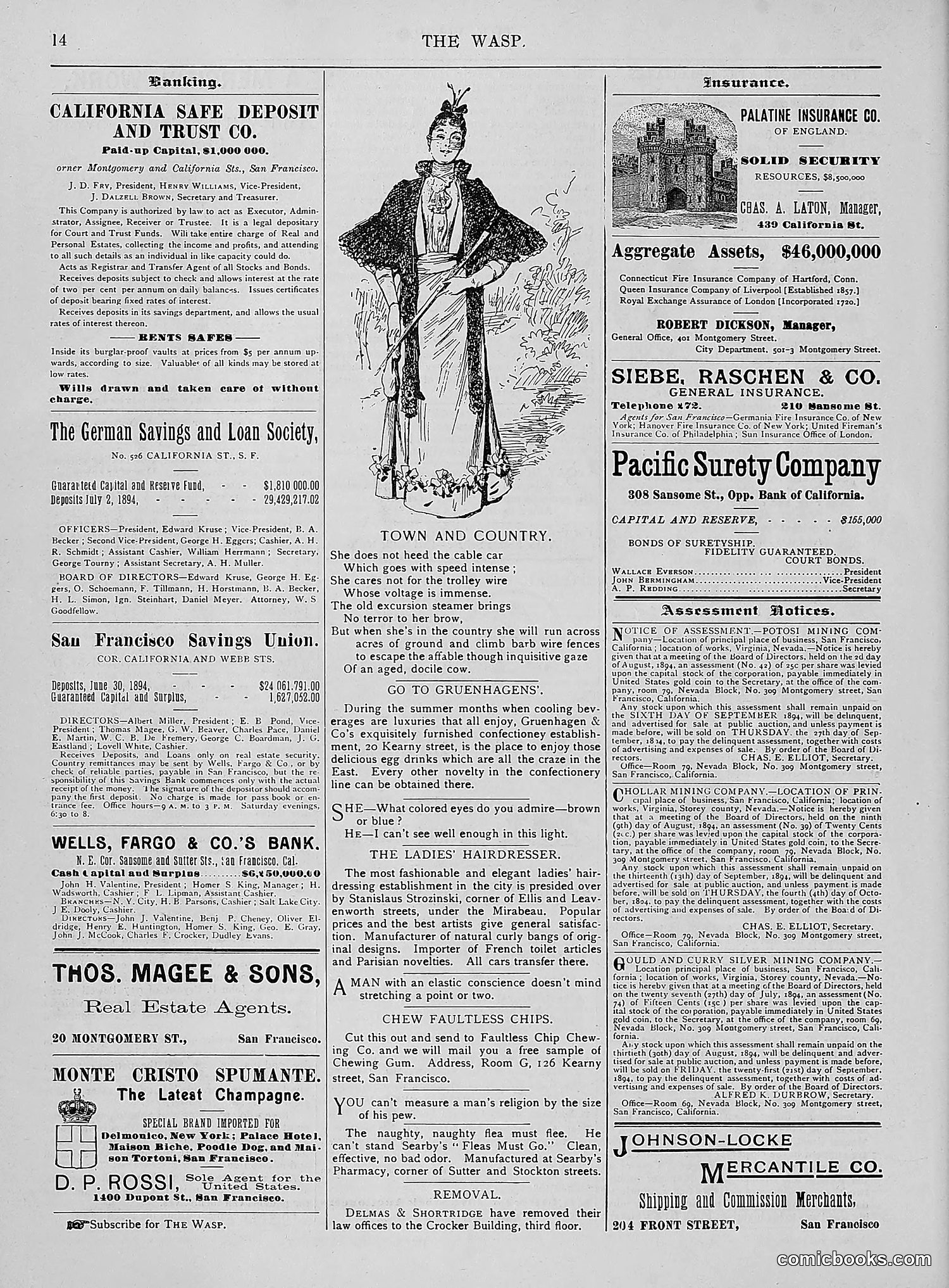 The Wasp — 1894 — page 163 of 524