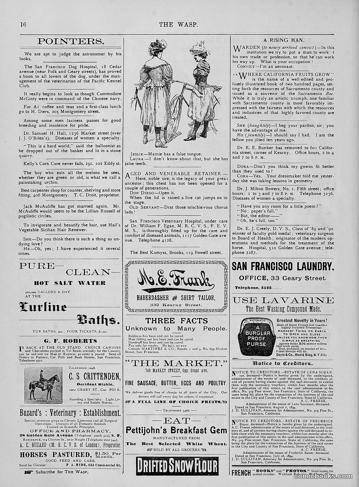 The Wasp — 1894 — page 165 of 524
