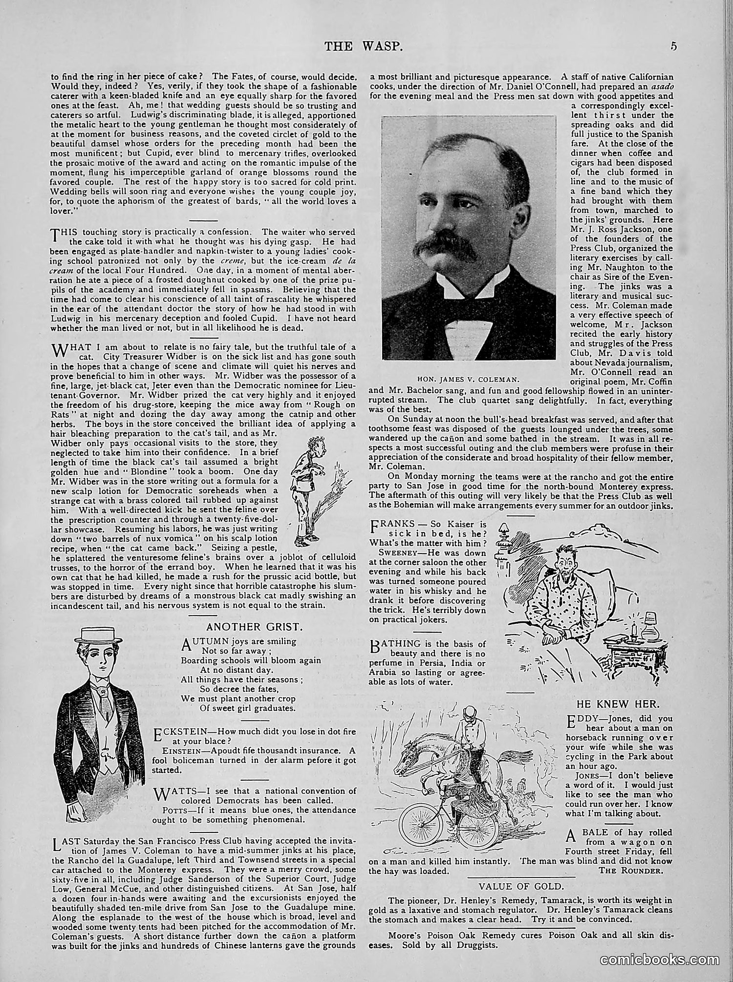 The Wasp — 1894 — page 174 of 524