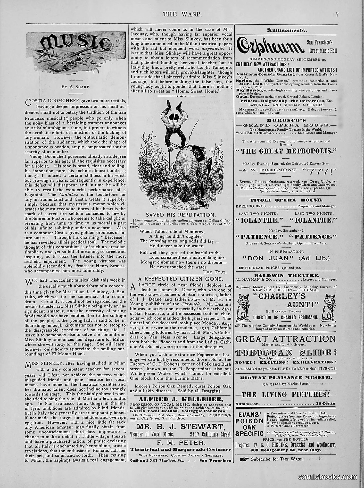 The Wasp — 1894 — page 176 of 524