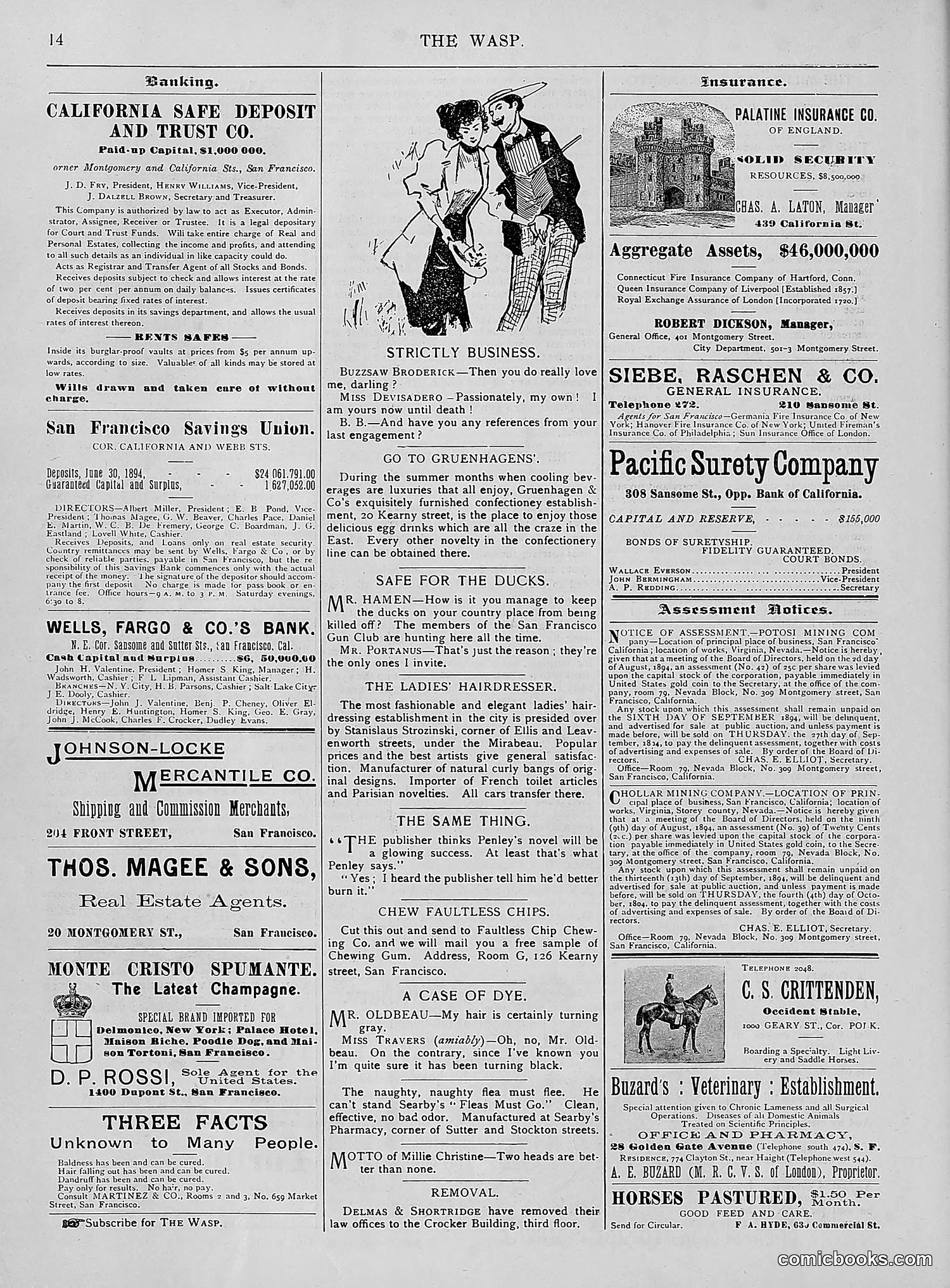 The Wasp — 1894 — page 183 of 524