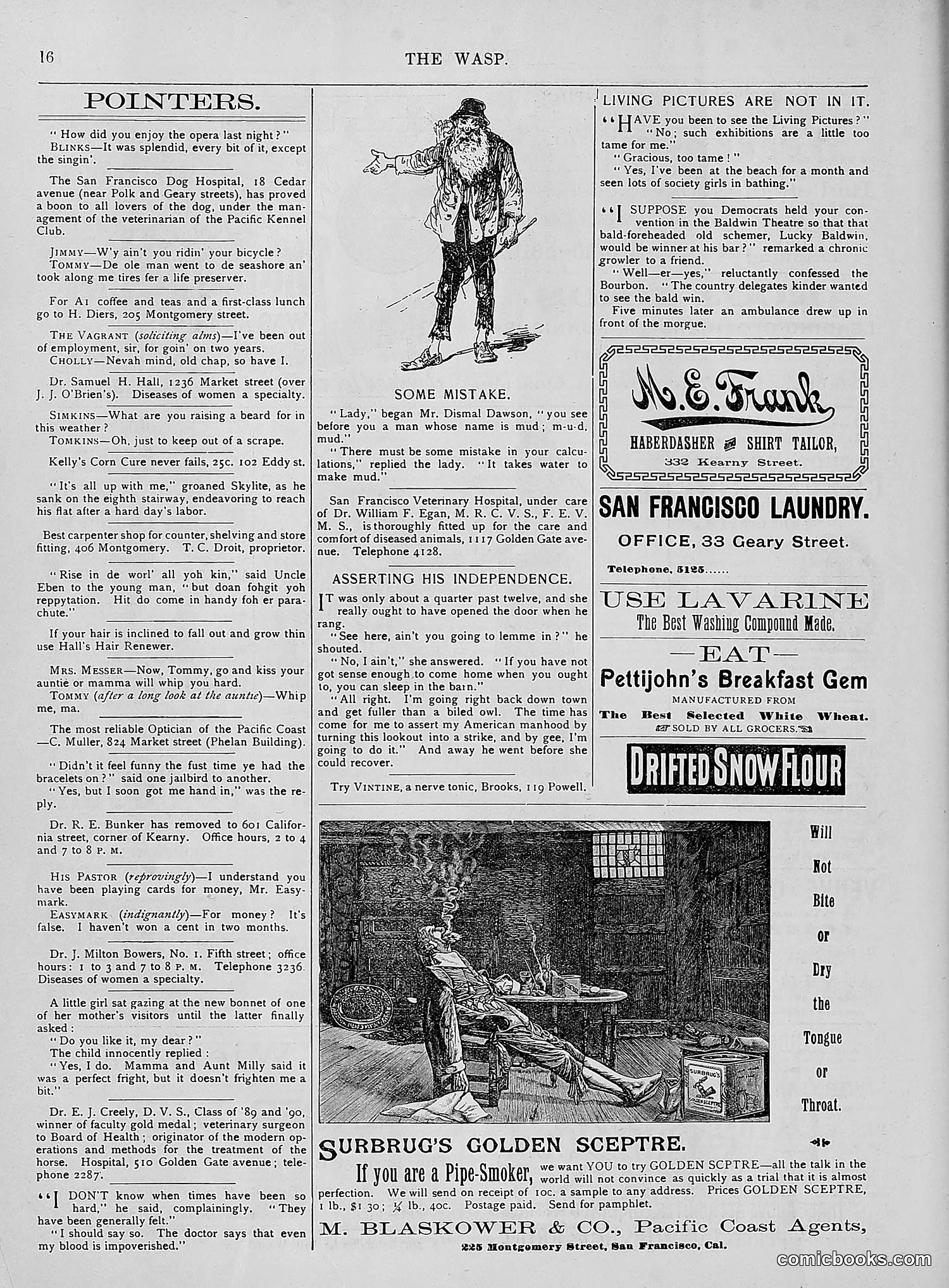 The Wasp — 1894 — page 185 of 524