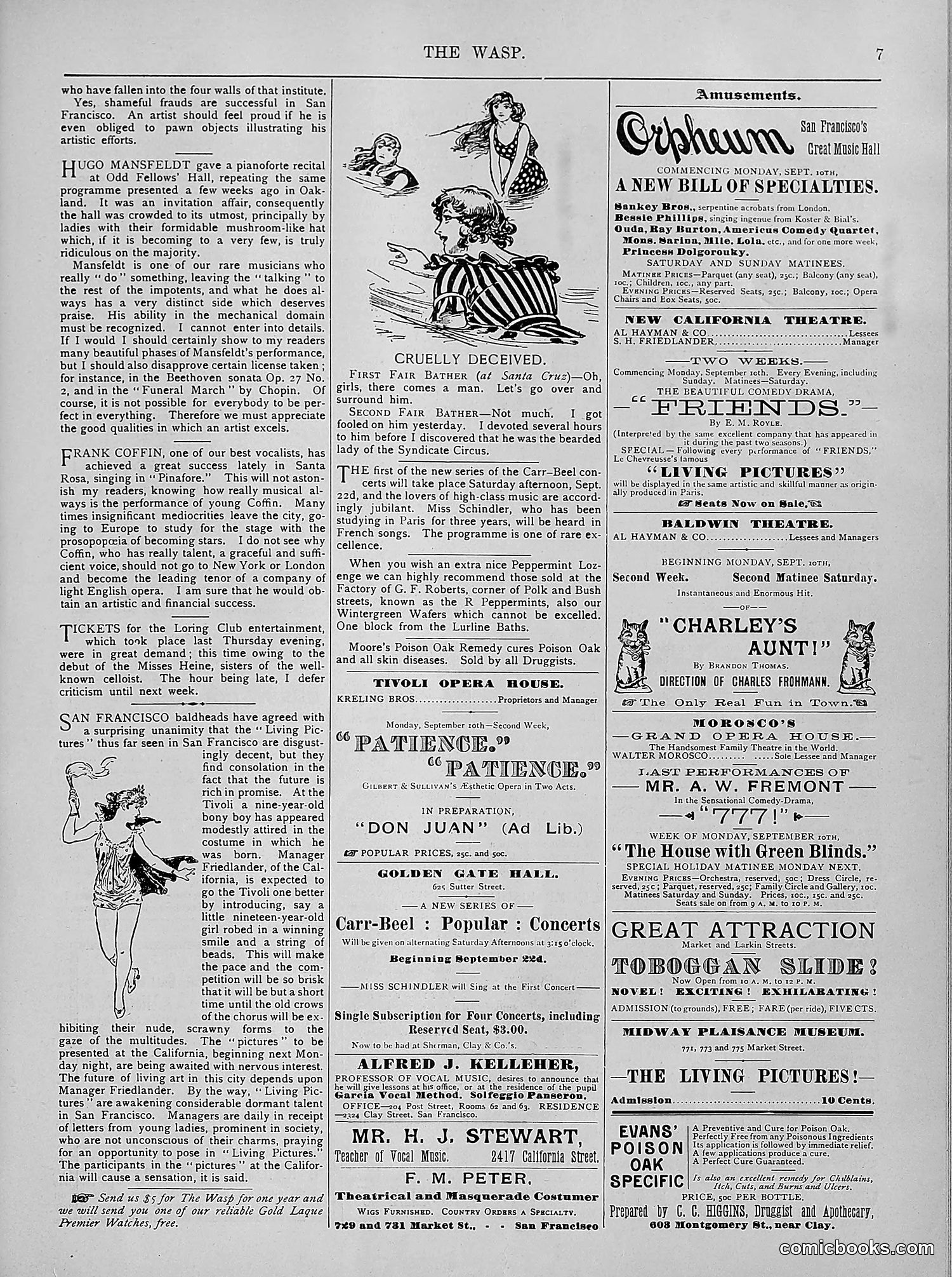 The Wasp — 1894 — page 196 of 524