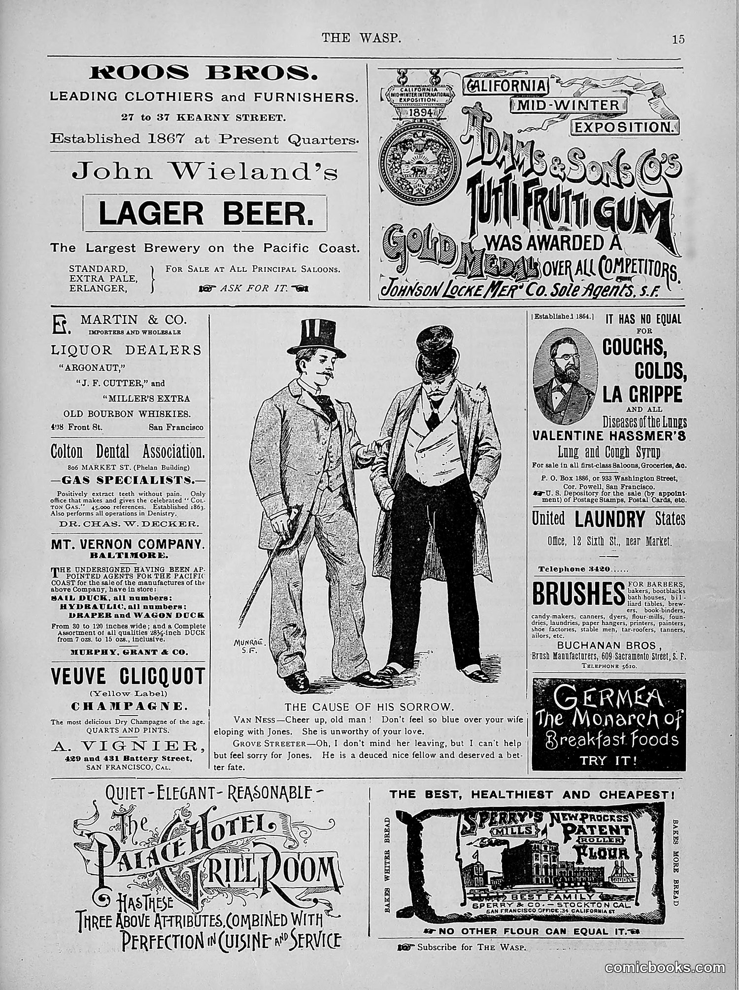 The Wasp — 1894 — page 204 of 524