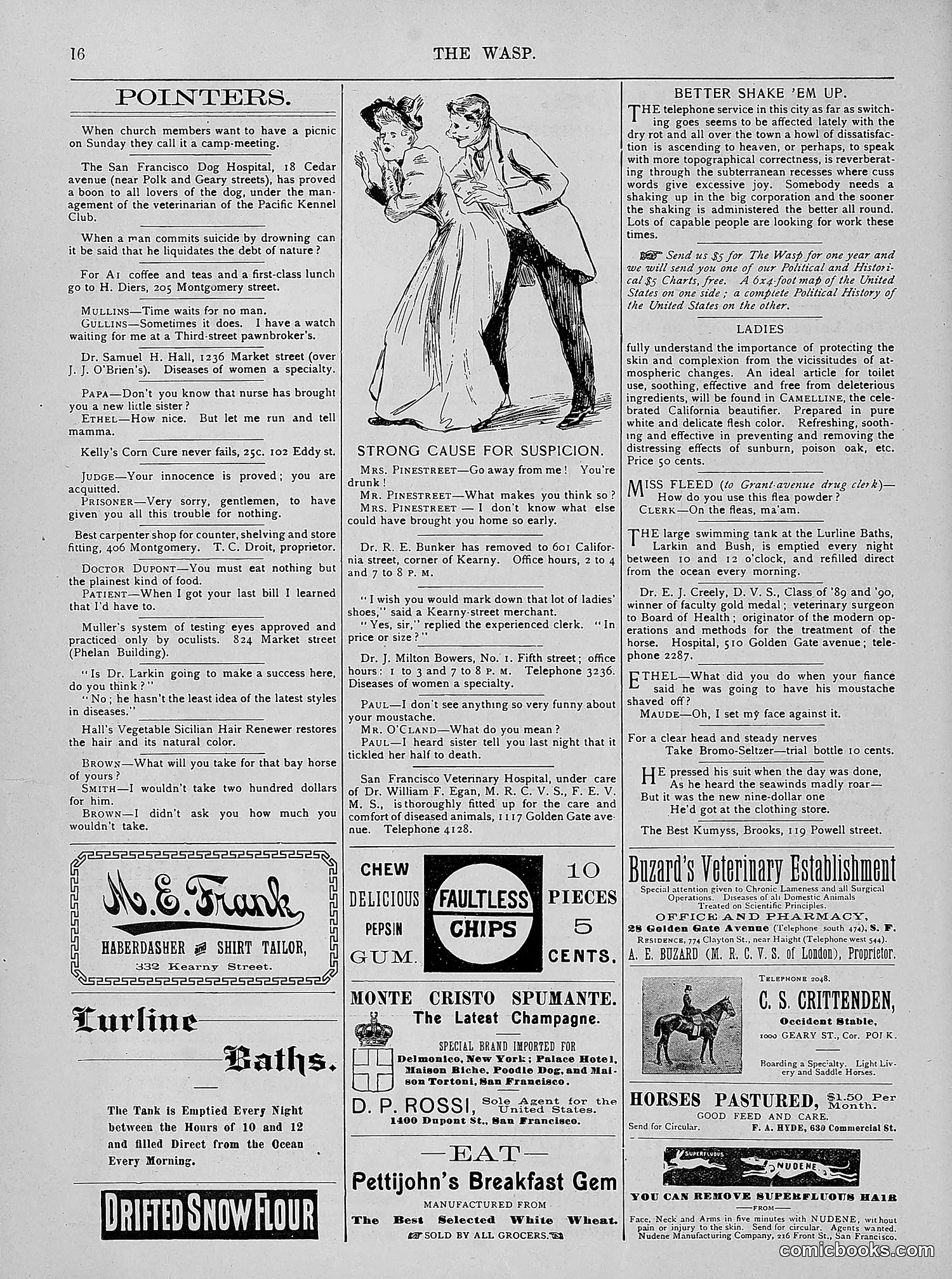 The Wasp — 1894 — page 205 of 524