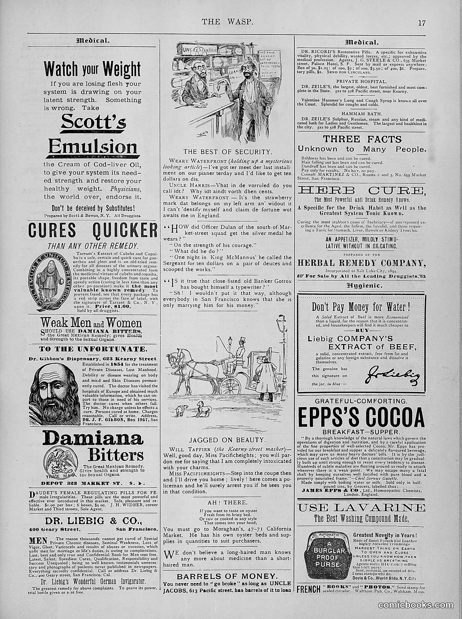 The Wasp — 1894 — page 206 of 524