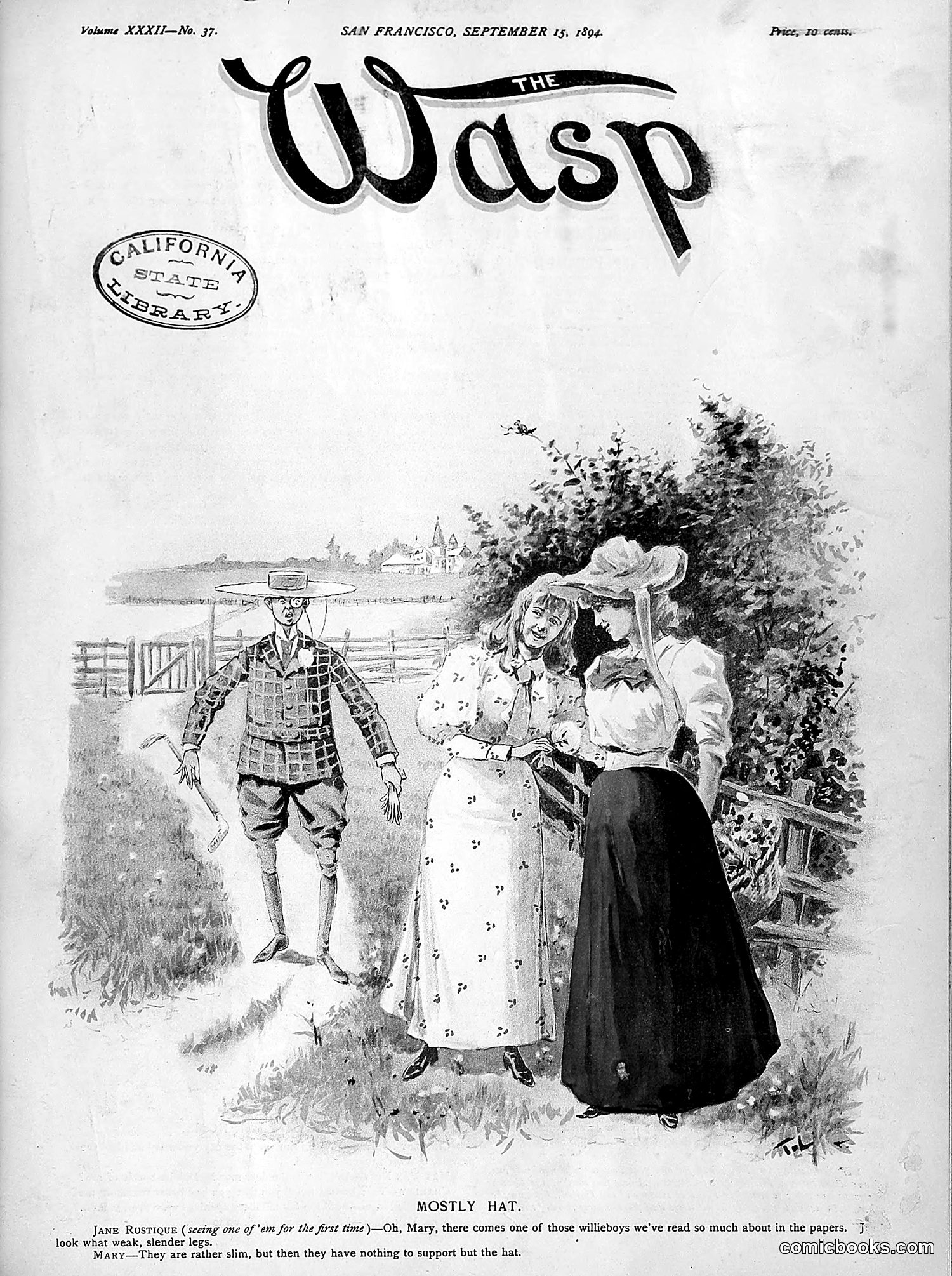 The Wasp — 1894 — page 210 of 524