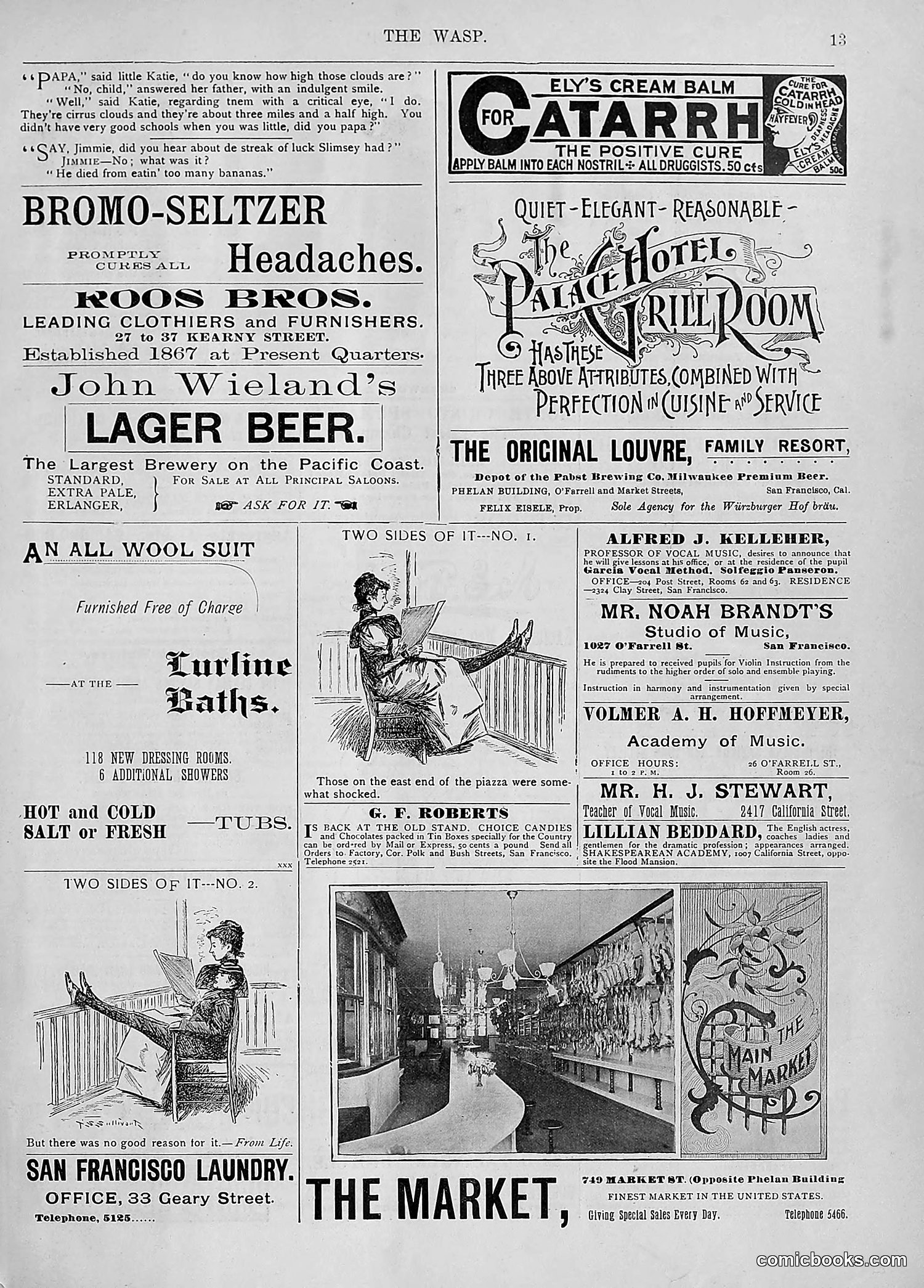 The Wasp — 1894 — page 22 of 524