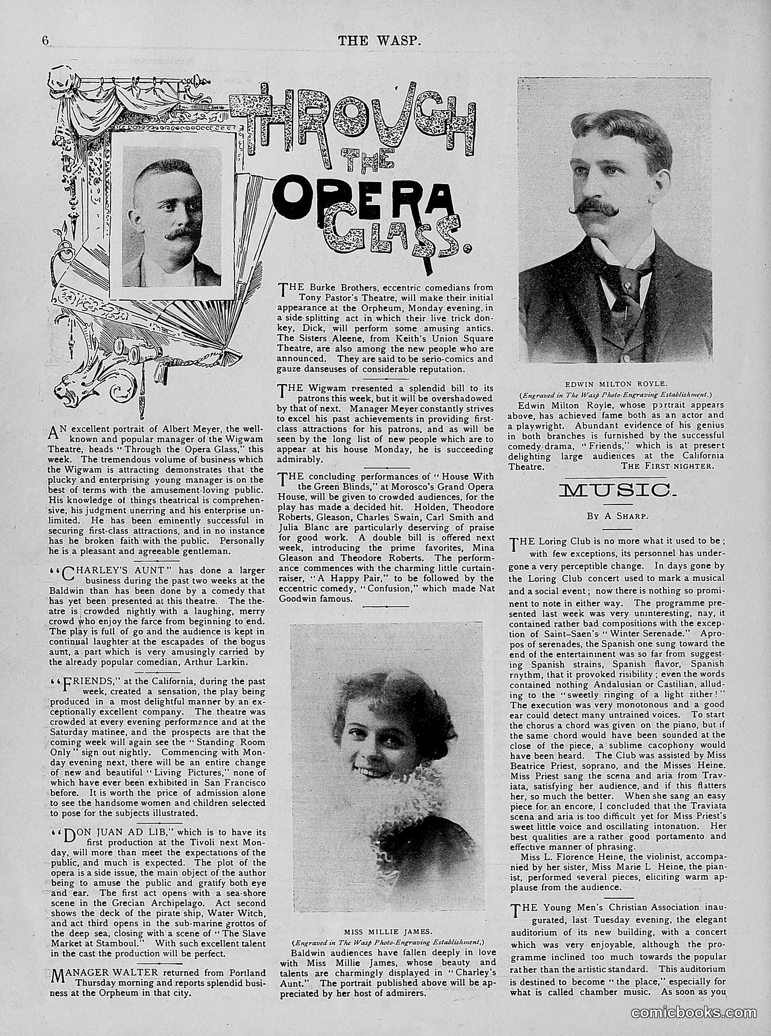 The Wasp — 1894 — page 215 of 524