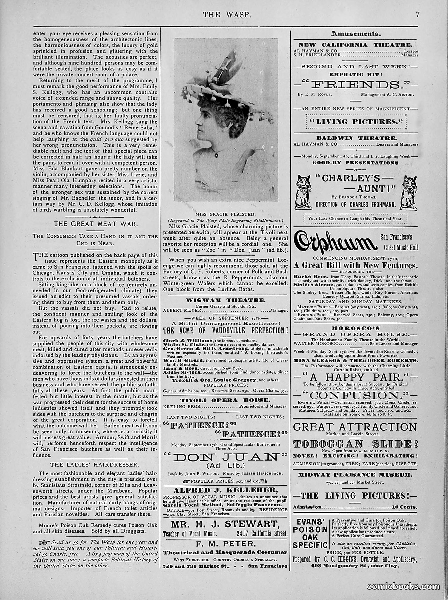 The Wasp — 1894 — page 216 of 524